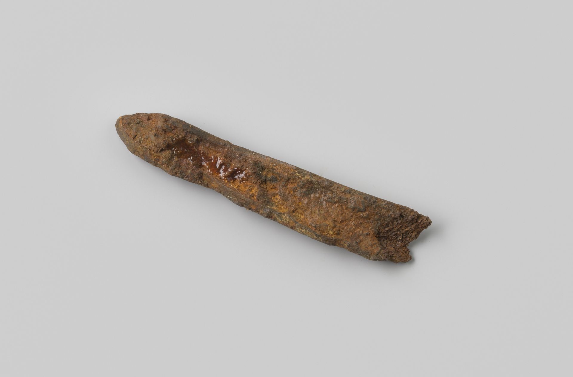 Fragment dierlijk rib uit het wrak van de Oost-Indiëvaarder Hollandia by niet van toepassing