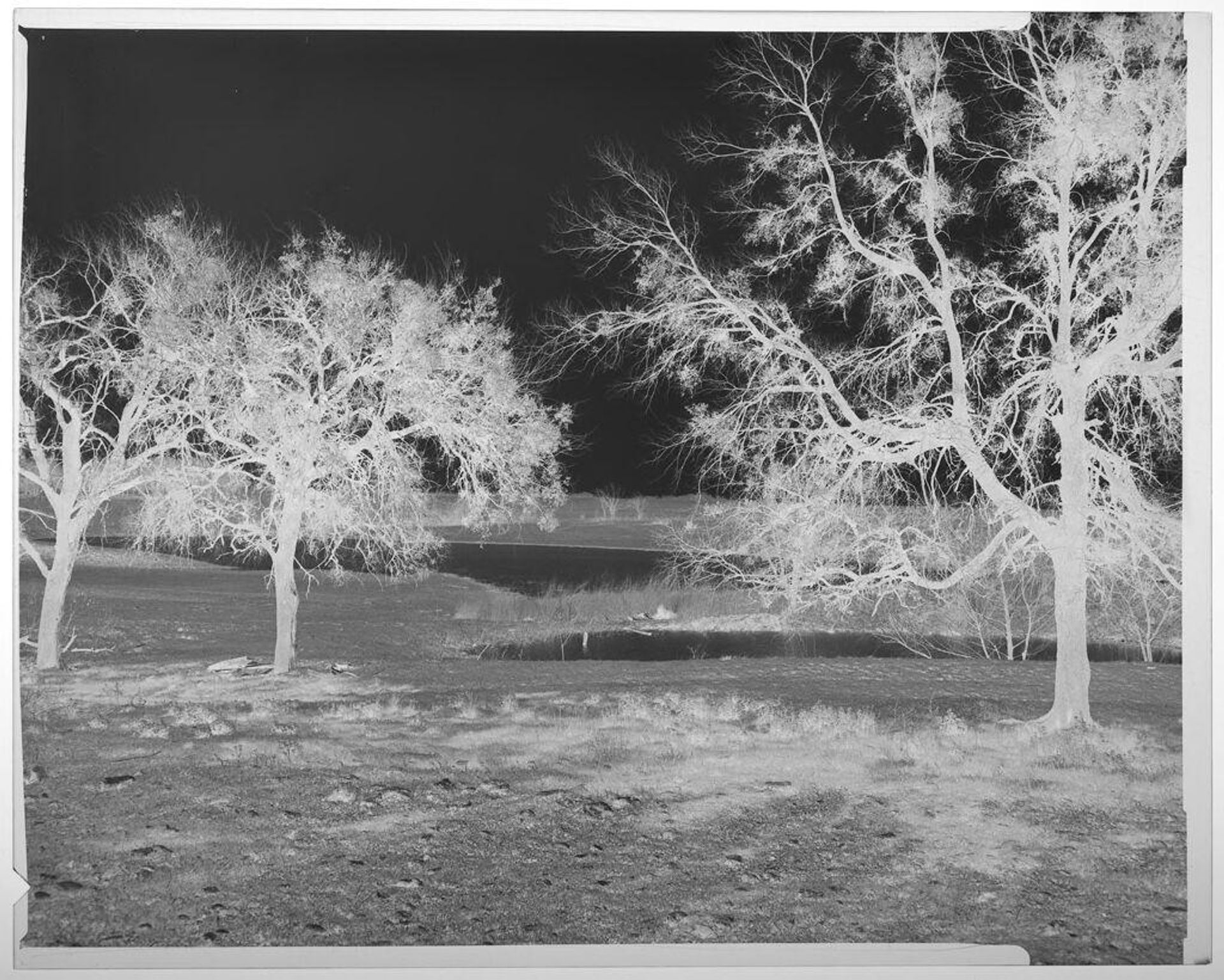 Untitled (trees in field with ponds) by Harry Annas