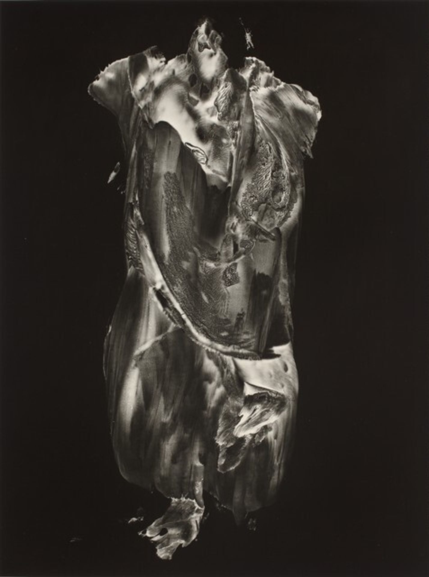 Paracelsus by Frederick Sommer