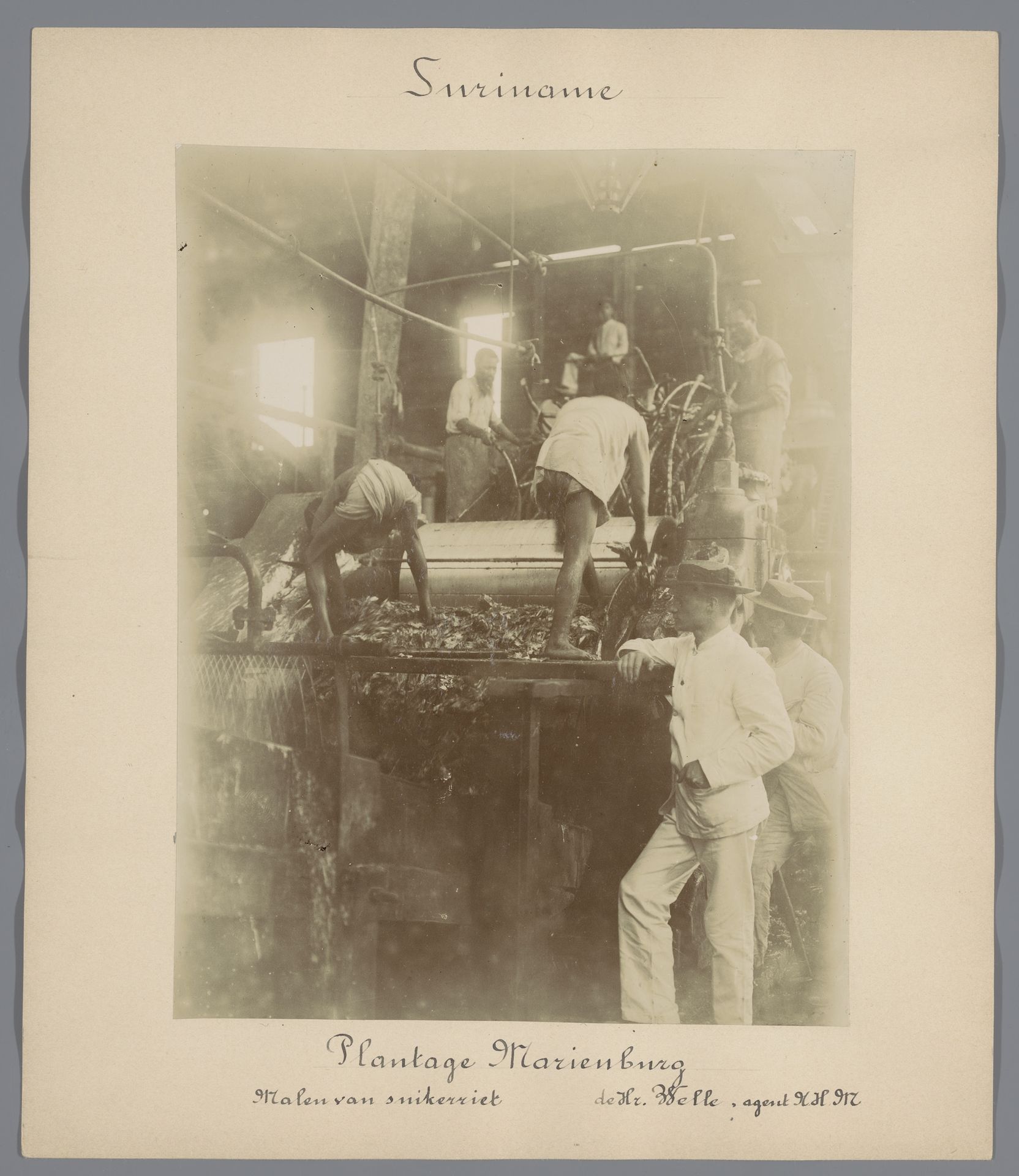 Plantage Marienburg / Malen van suikerriet by Eugen Klein