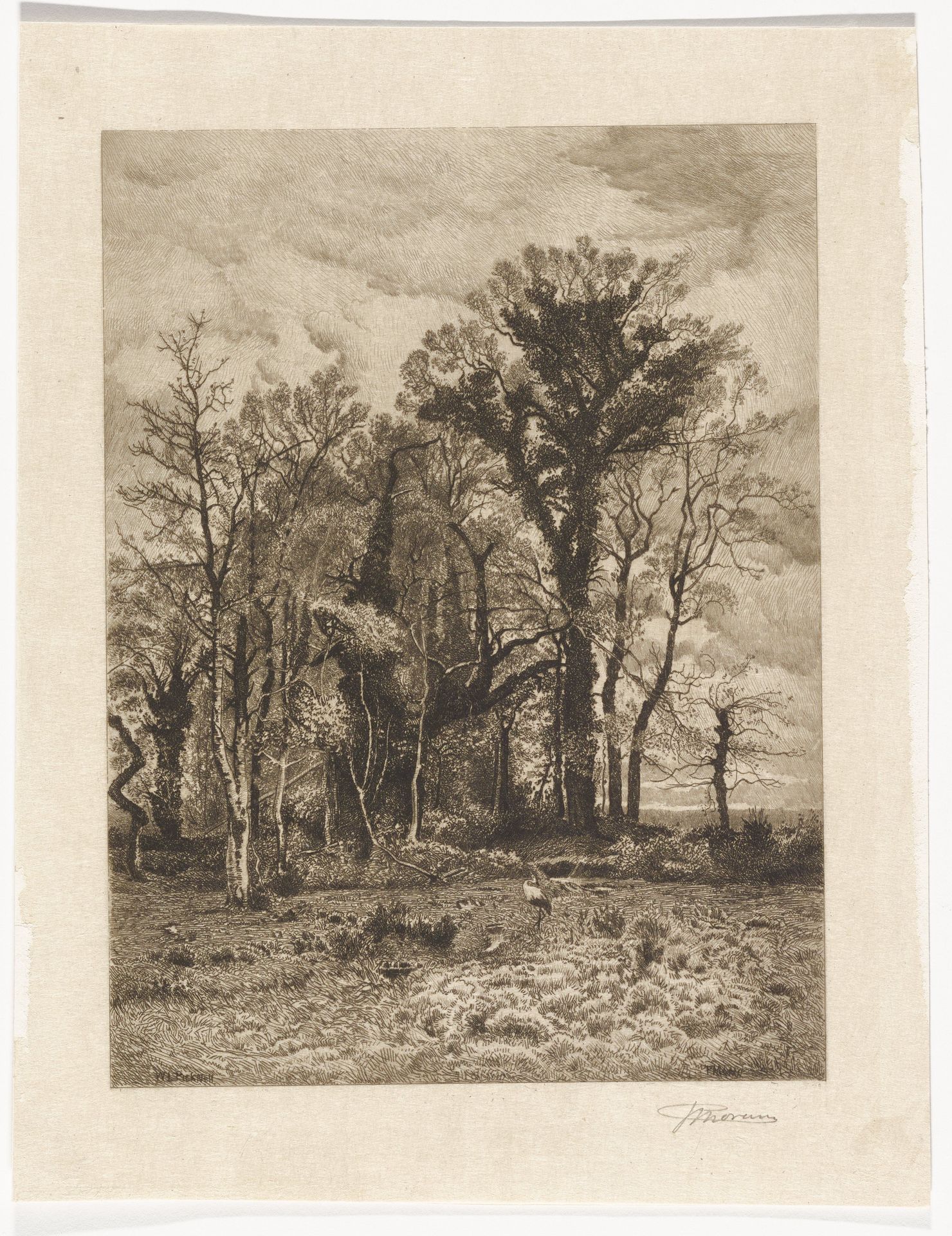 The Edge of the Swamp by Peter Moran