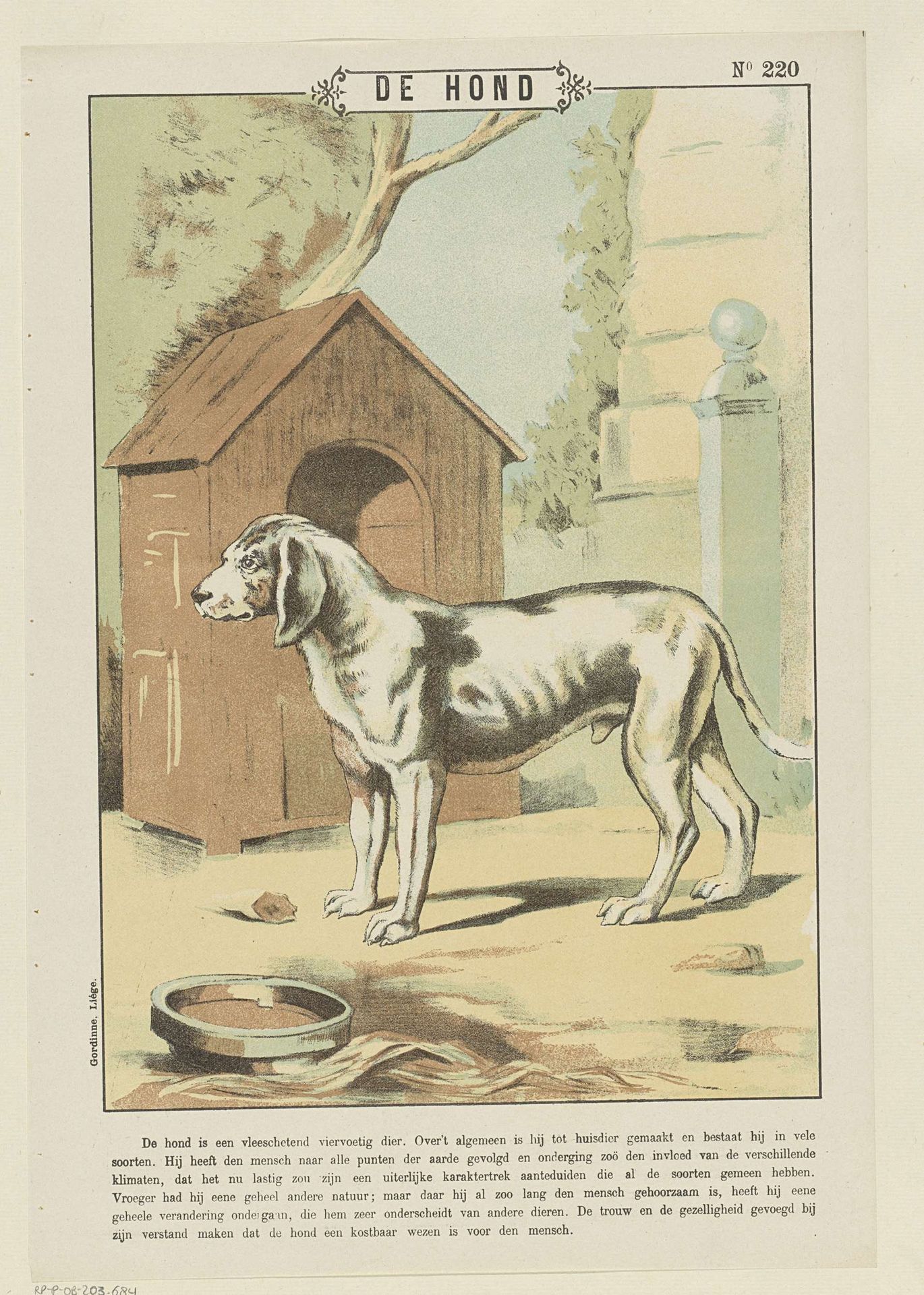 De hond by Gordinne