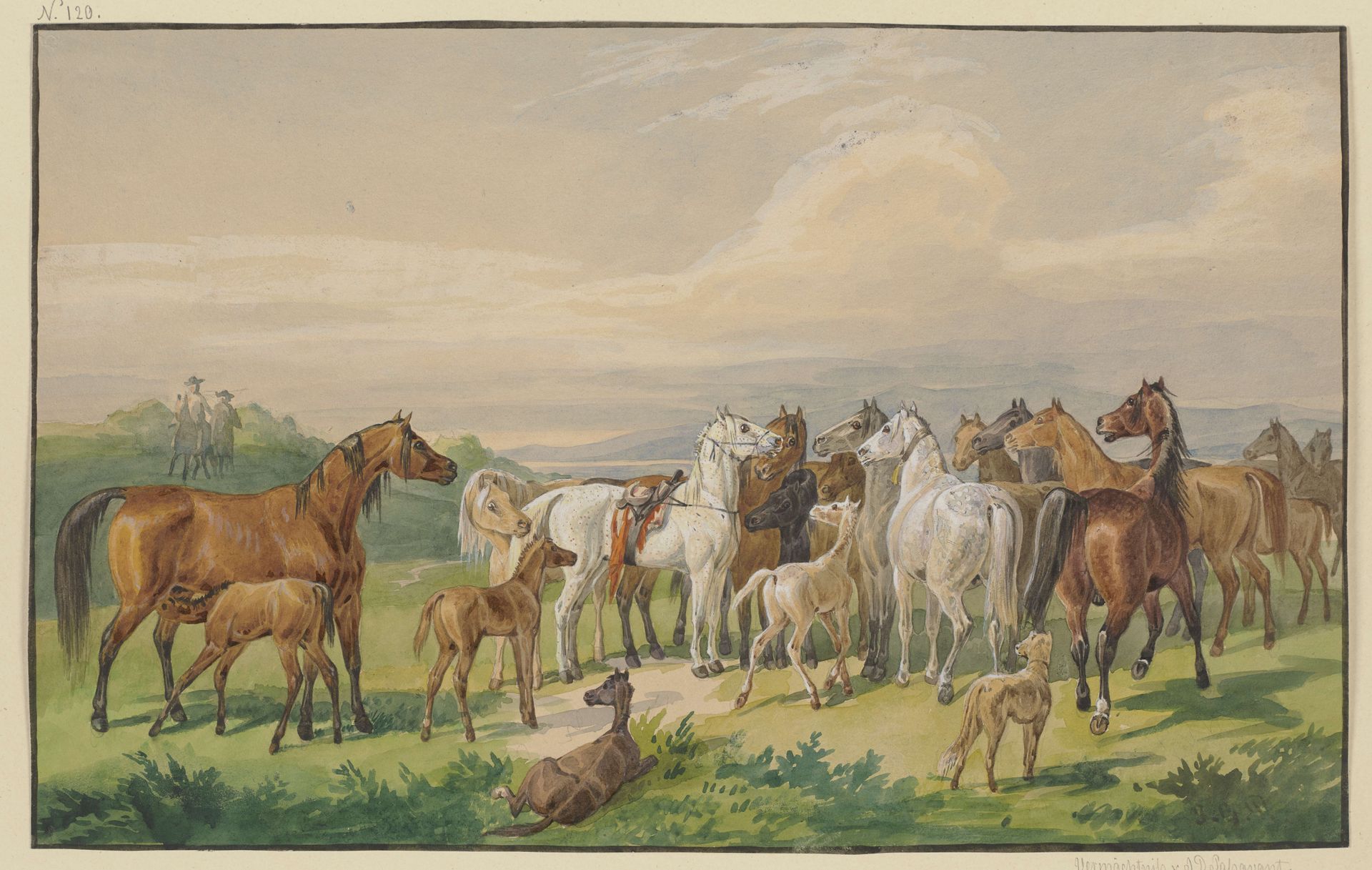 Ein gesatteltes Militärpferd kehrt zu seiner wilden Herde zurück by Johann Erdmann Gottlieb Prestel