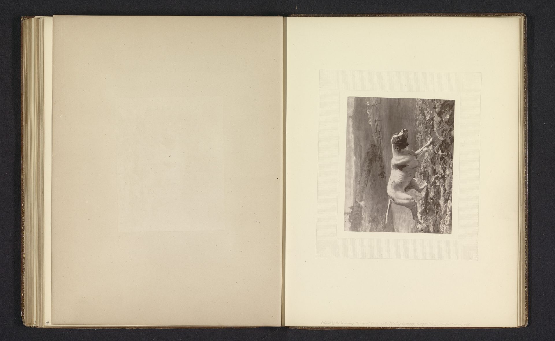 Fotoreproductie van een schilderij van een jachthond door vermoedelijk George Earl by Anonymous