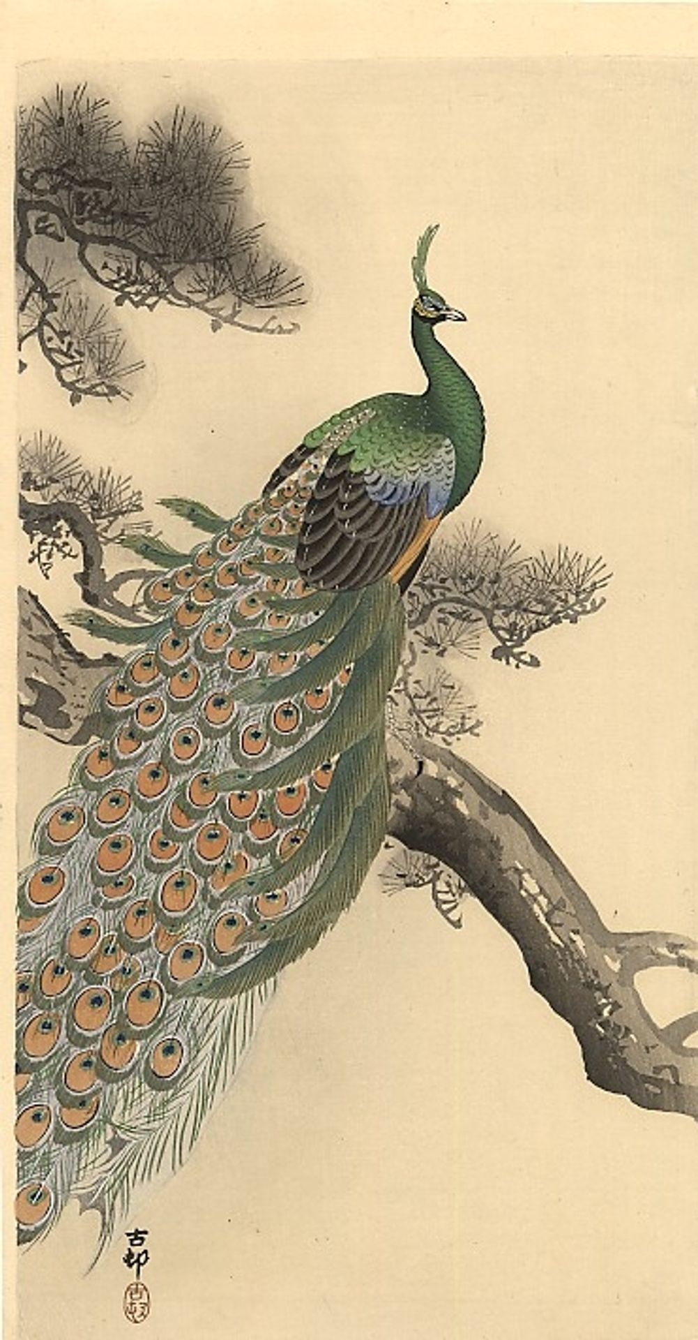 Peacock by Ohara Koson