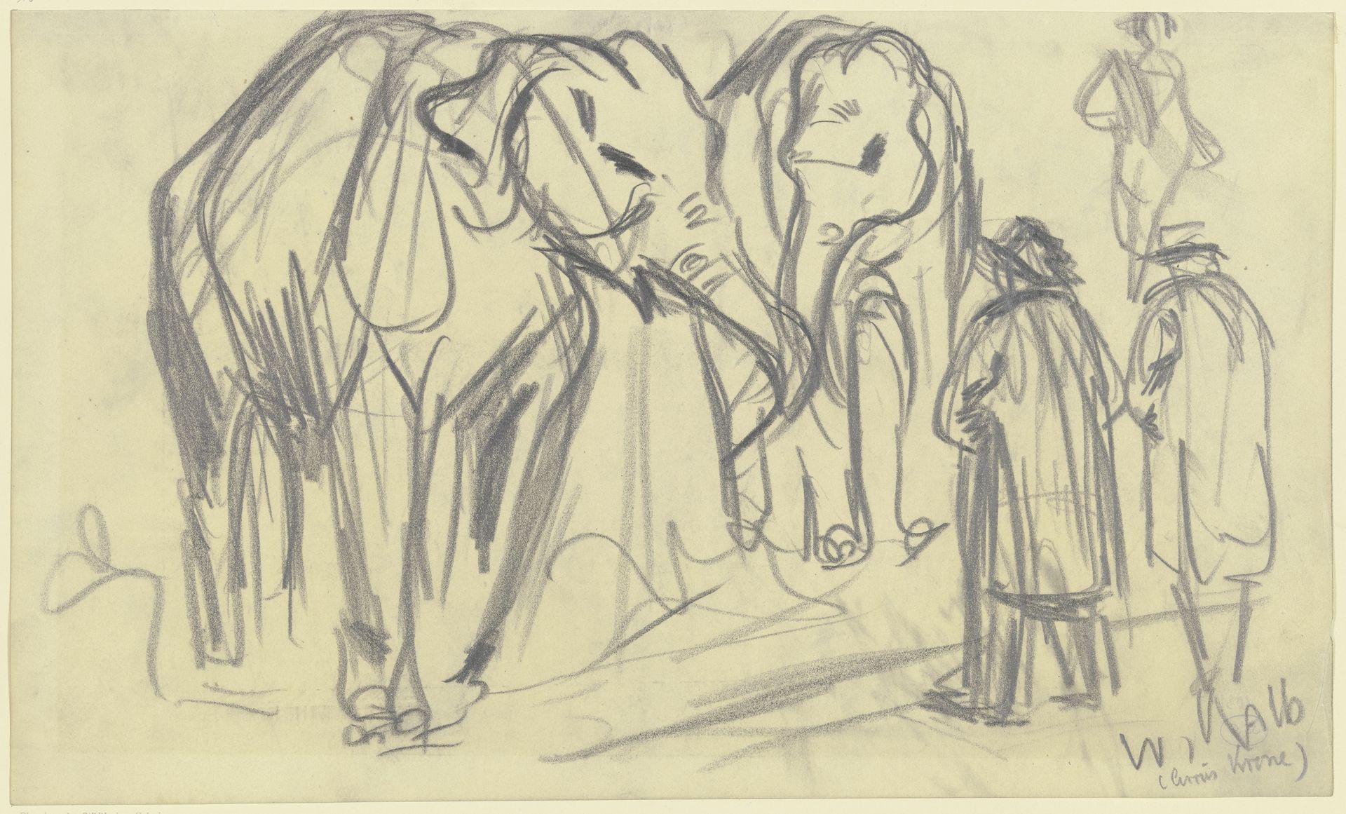 Elephants (Circus Krone) by Wilhelm Kalb