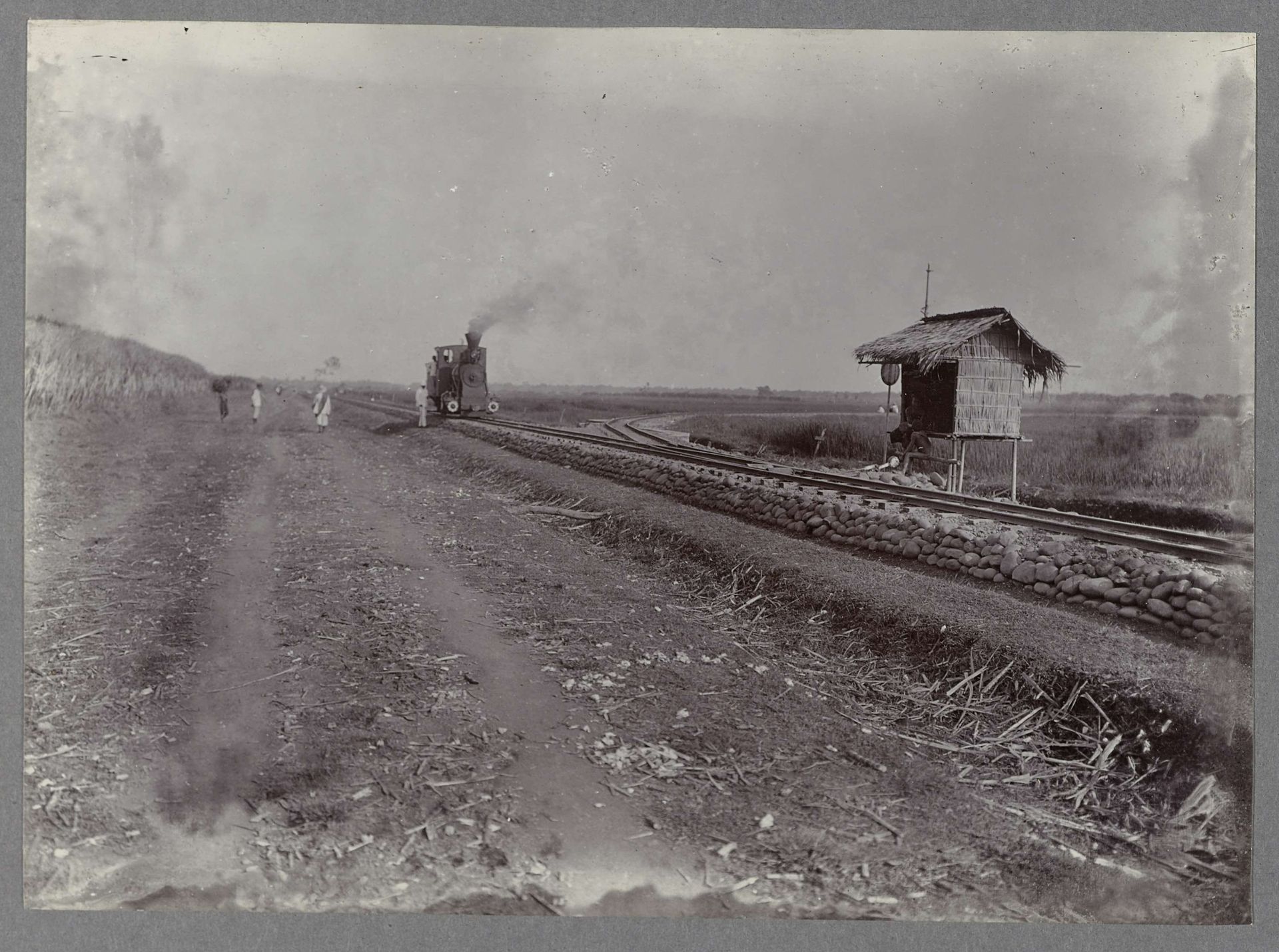 Spoor langs suikerrietvelden by Anonymous