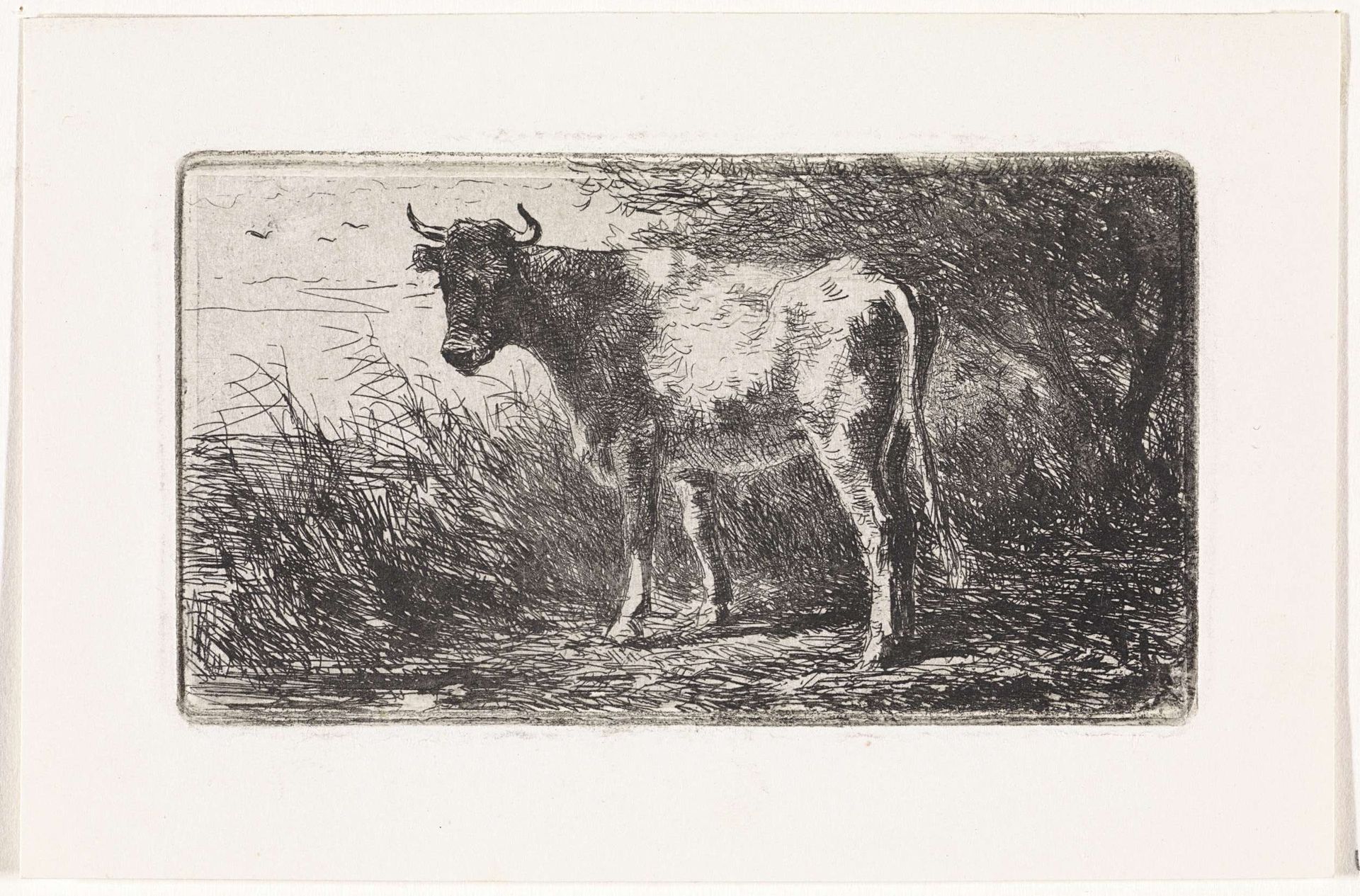 Koe aan de oever van een rivier by Jan Vrolijk