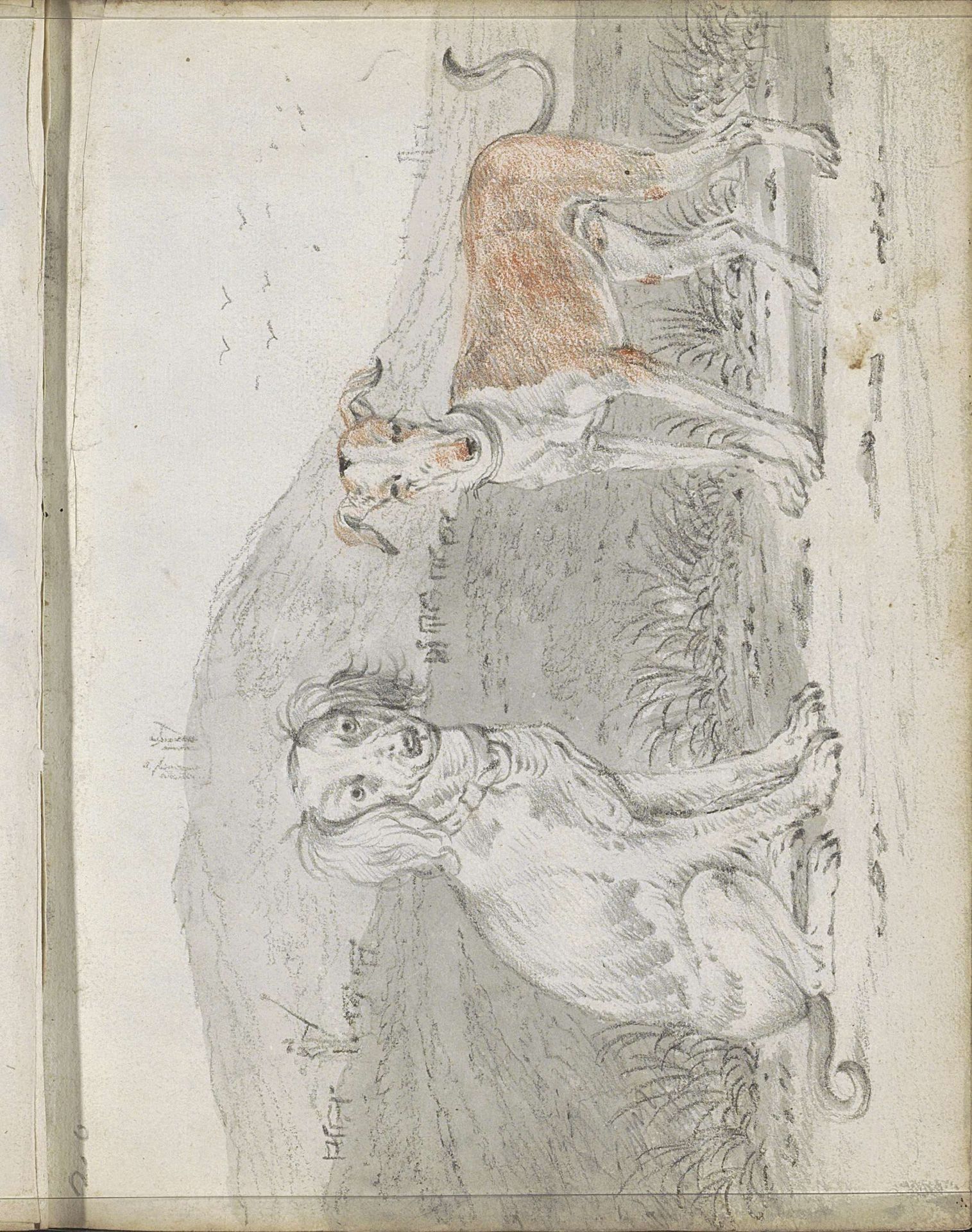 Twee honden in een berglandschap by Cornelis Saftleven
