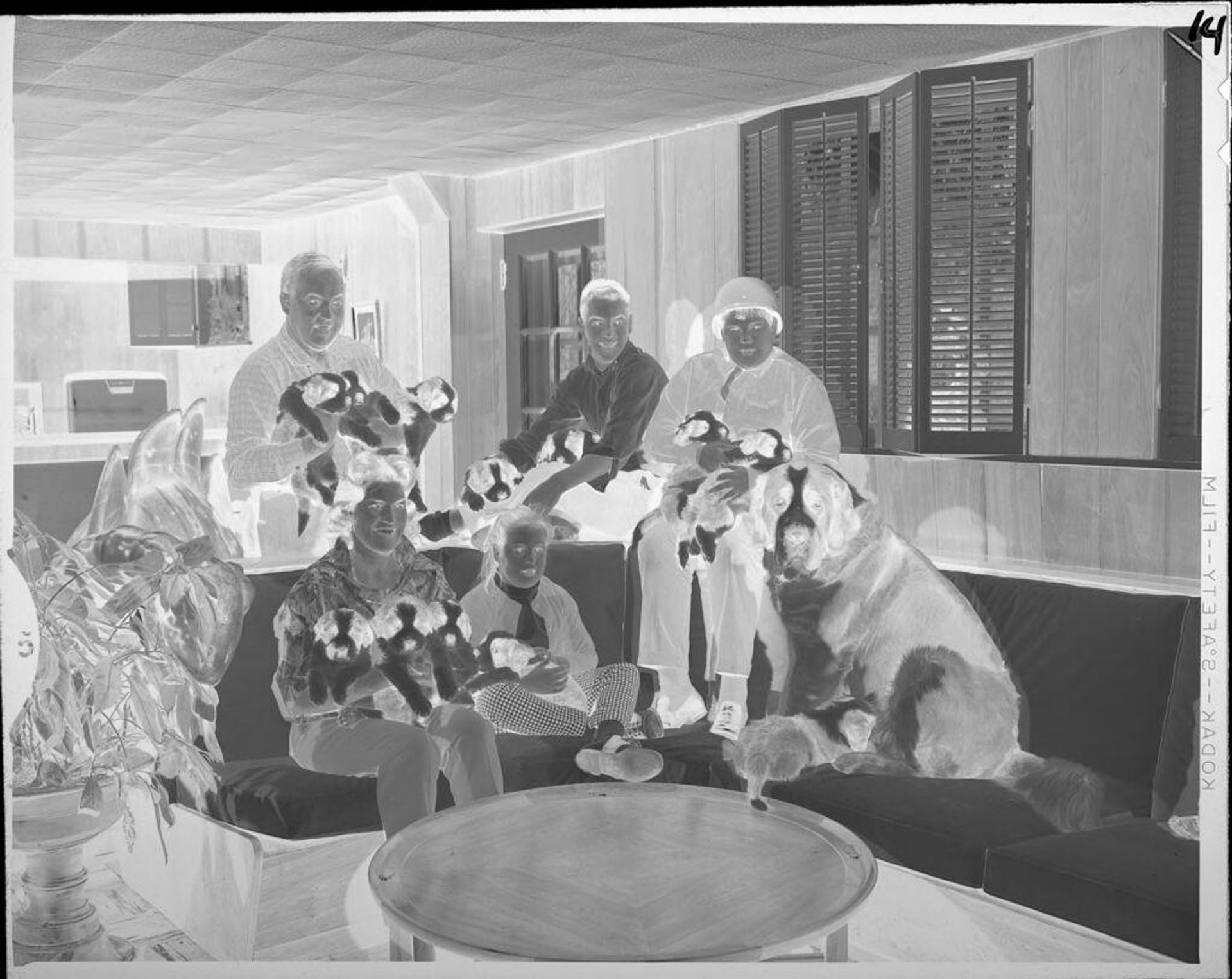 Untitled (family portrait with many dogs and puppies) by Lucian and Mary Brown