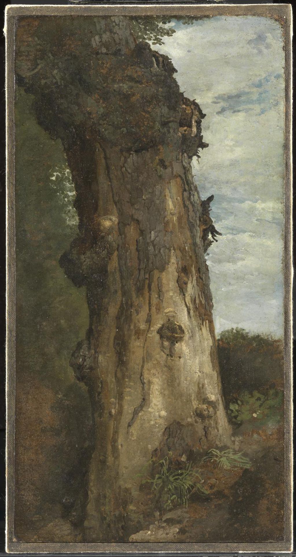 Study of a Tree (‘Study from Nature’) by John Linnell