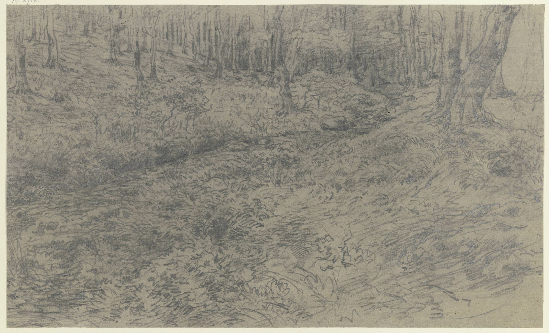 Stream in the forest by Jakob Maurer
