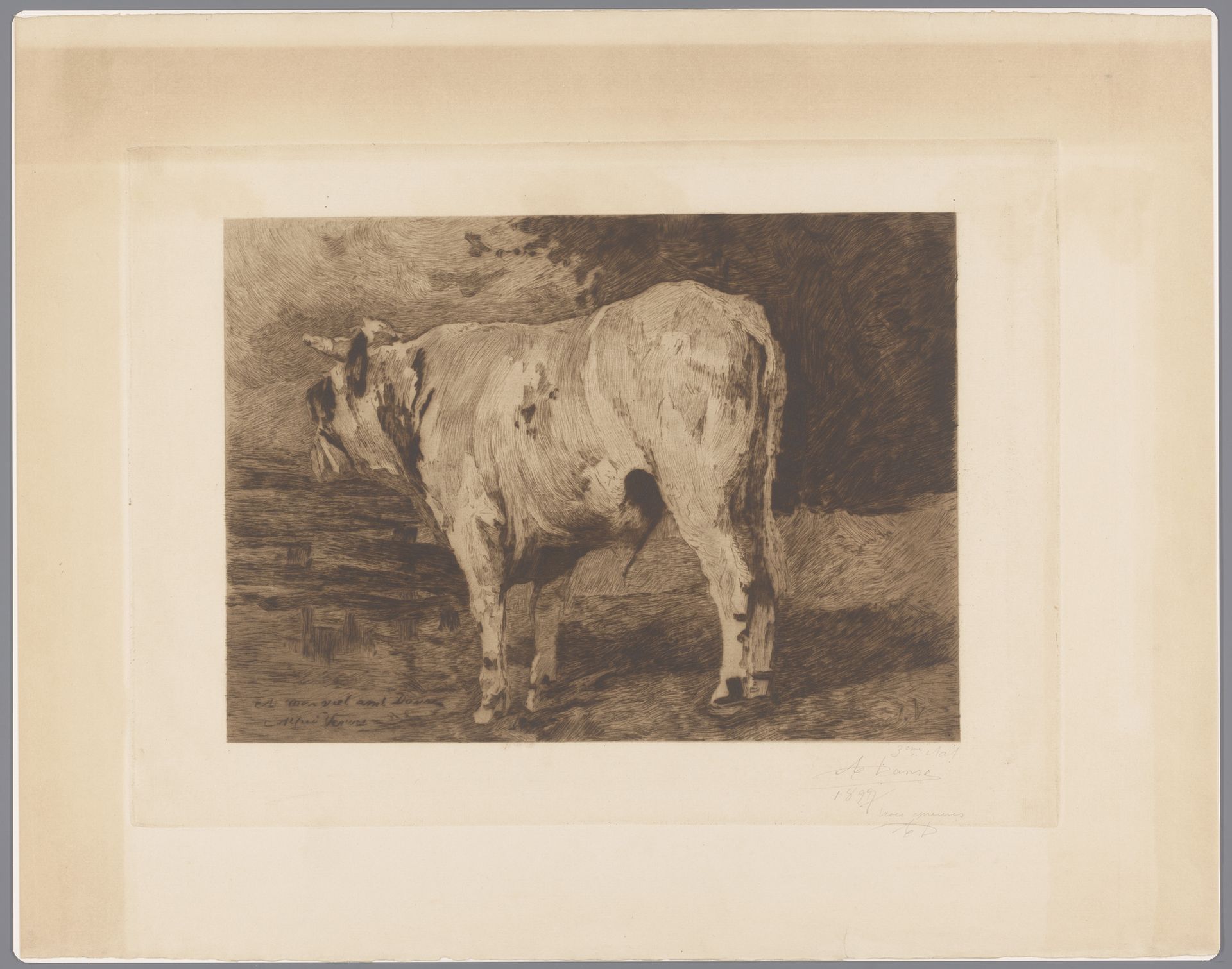 Stier in de wei by Auguste Danse