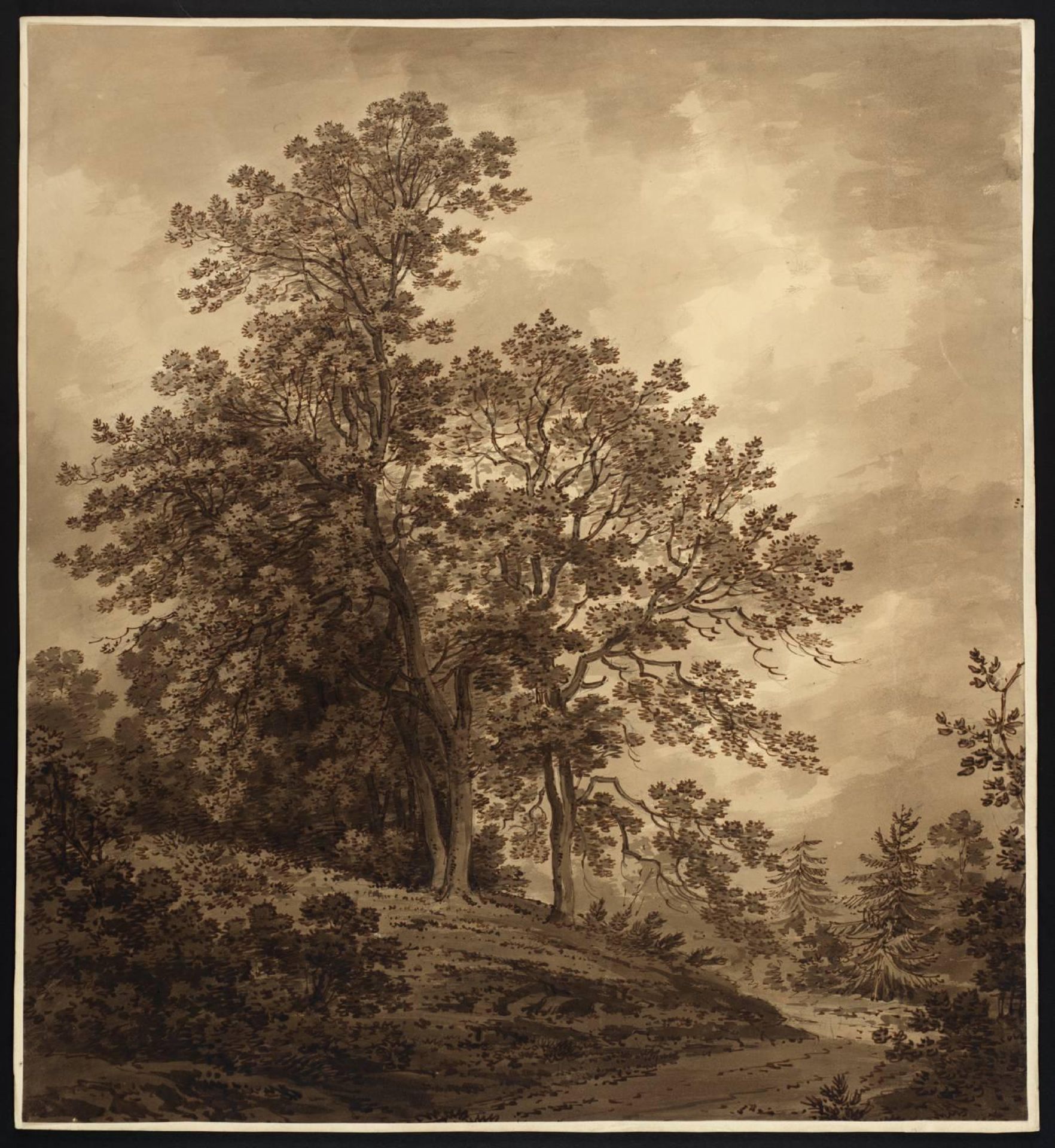 A Group of Trees by Hugh William Williams