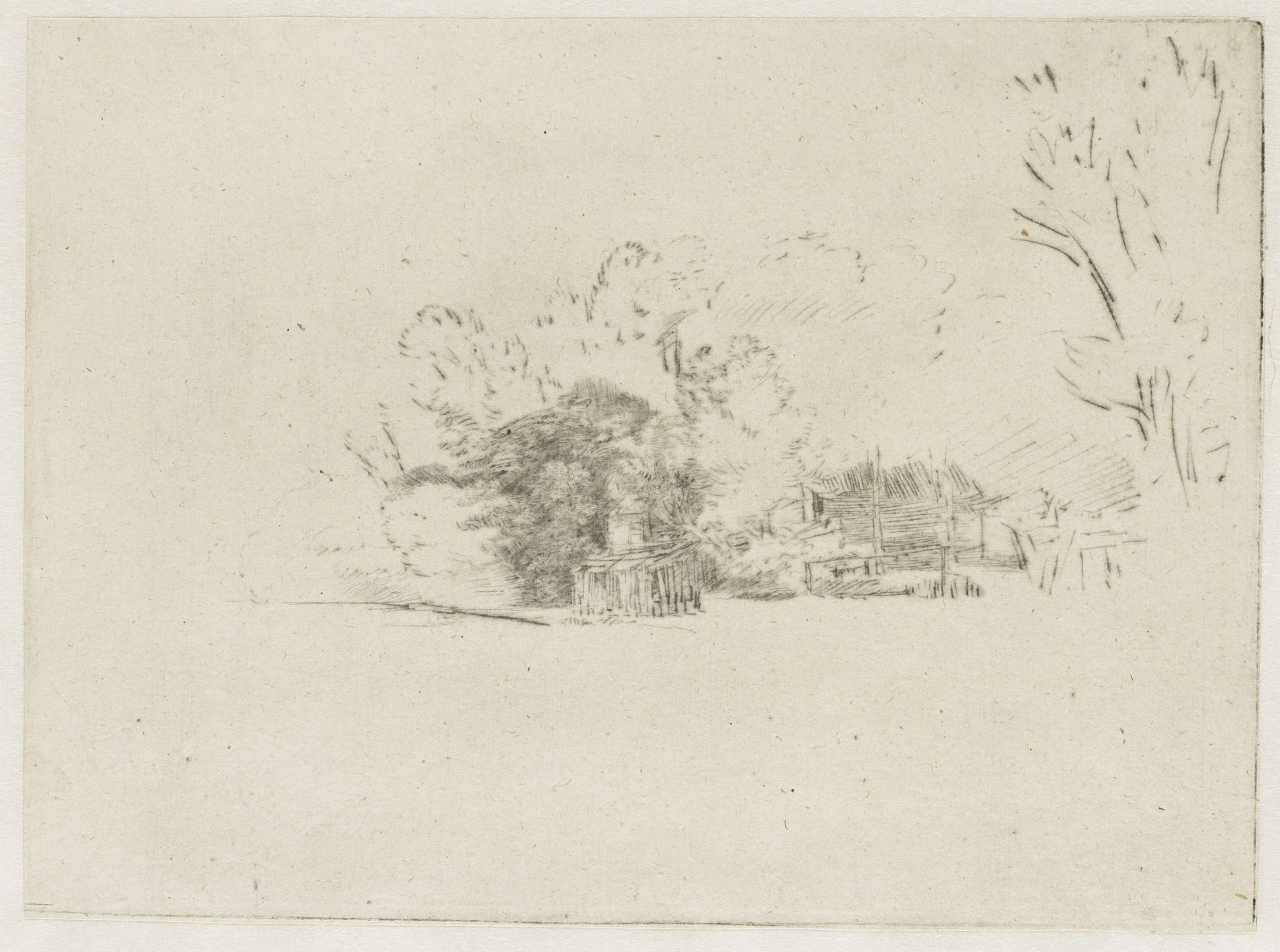 Clump of trees with a vista by Rembrandt van Rijn