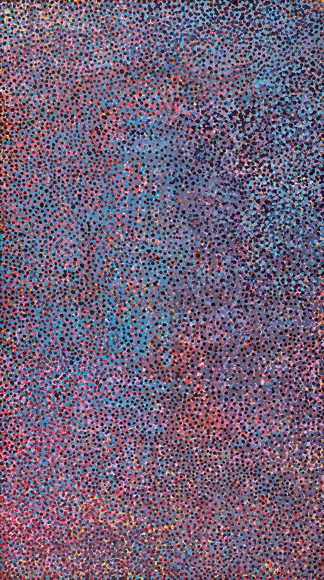 Mourning Story by Emily Kame Kngwarreye