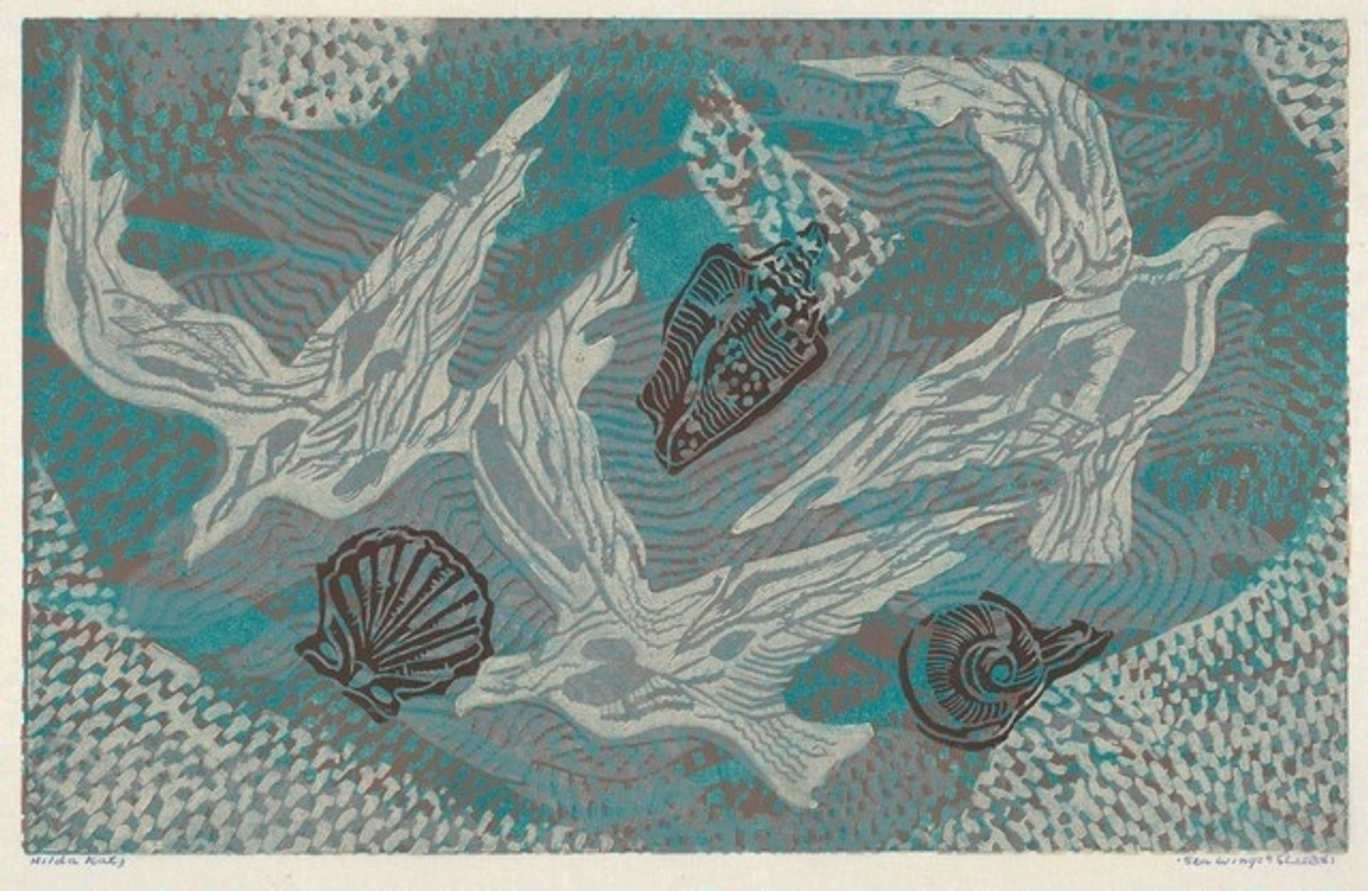 Sea Wings and Shells by Hilda Katz