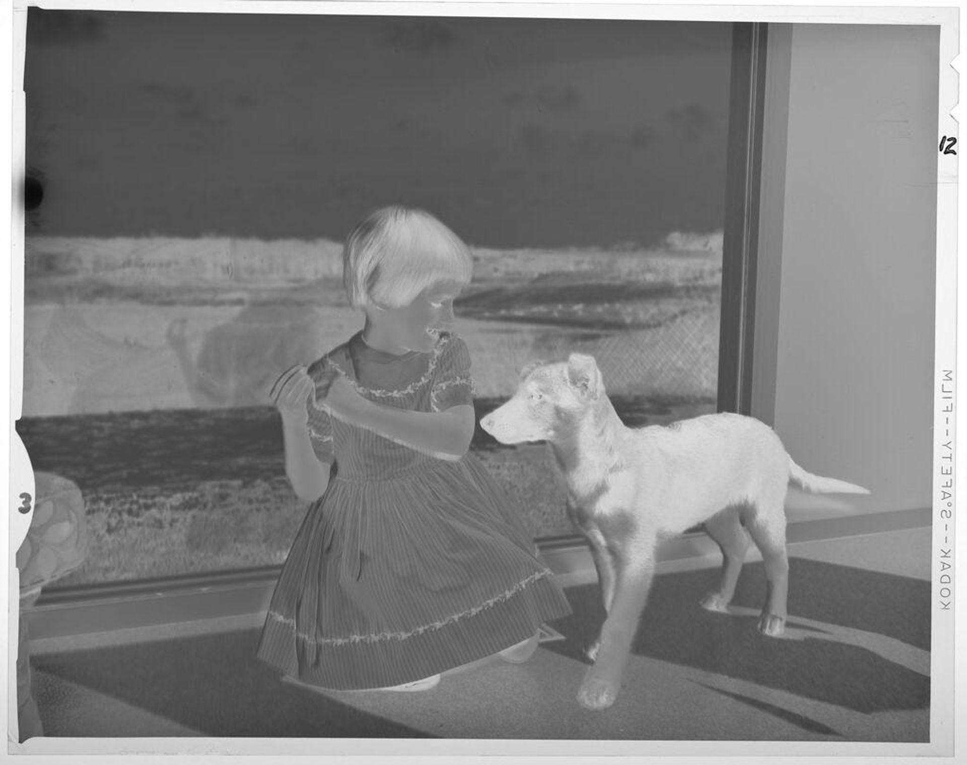 Untitled (girl and dog in front of window) by Lucian and Mary Brown