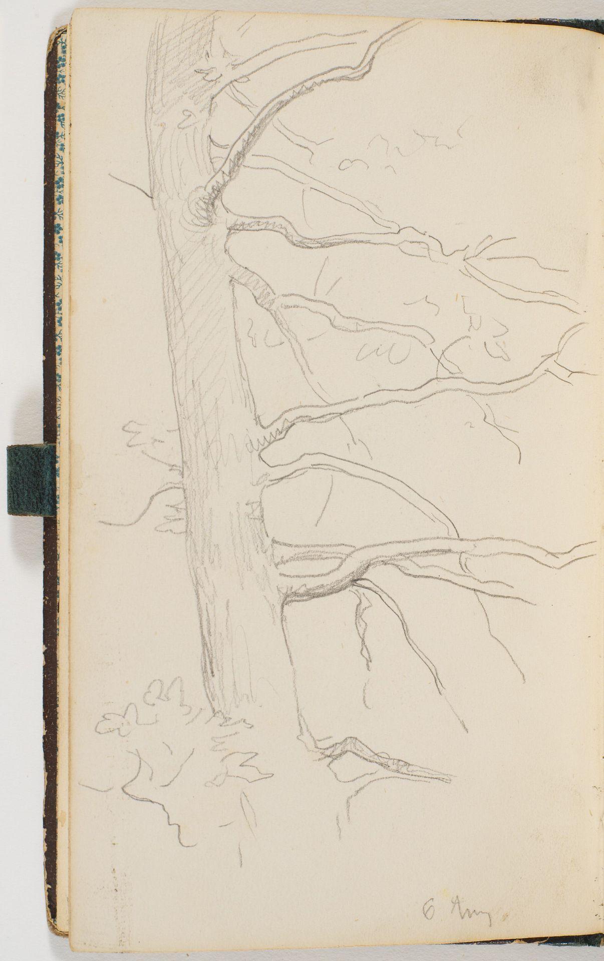 En træstamme med grene by P.C. Skovgaard