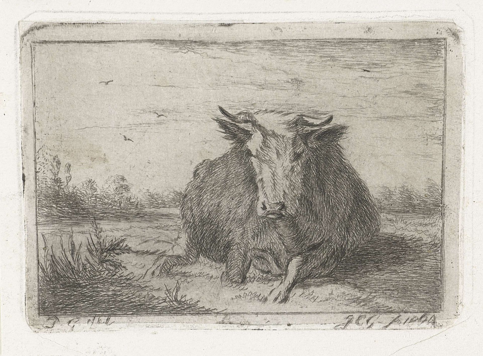 Liggende koe van voren gezien by Jacobus Cornelis Gaal
