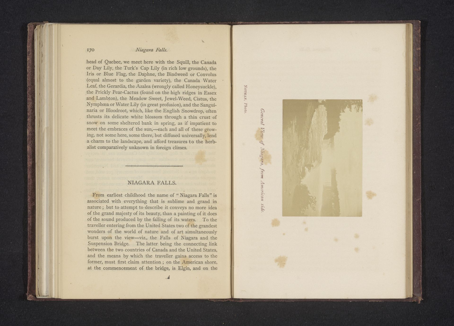General view of Niagara, from American Side by William Notman