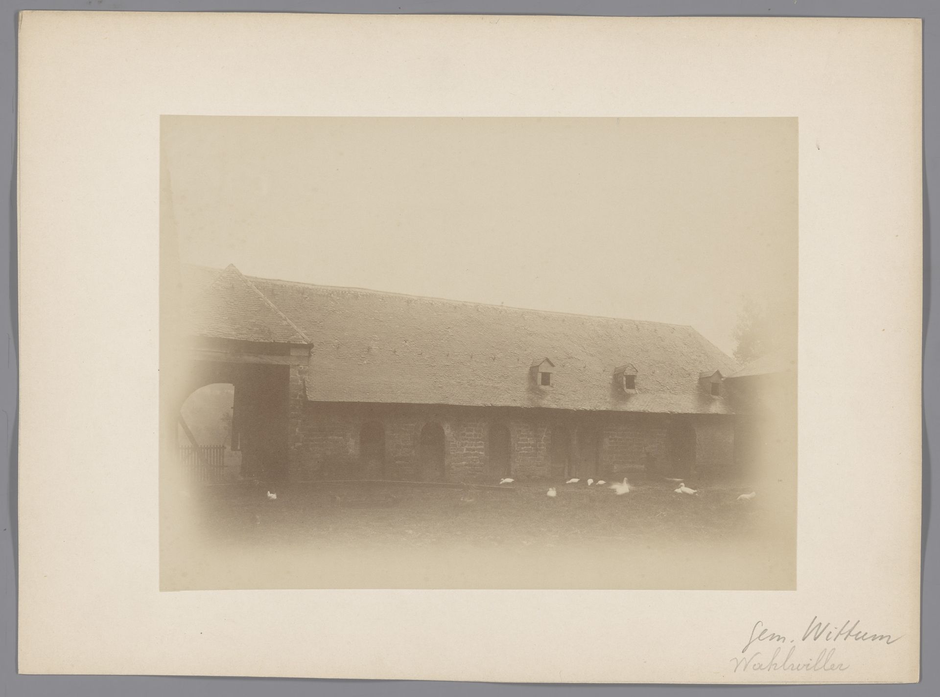 Gedeelte van boerderij Leyenhof met ganzen te Wahlwiller by anoniem (Monumentenzorg)