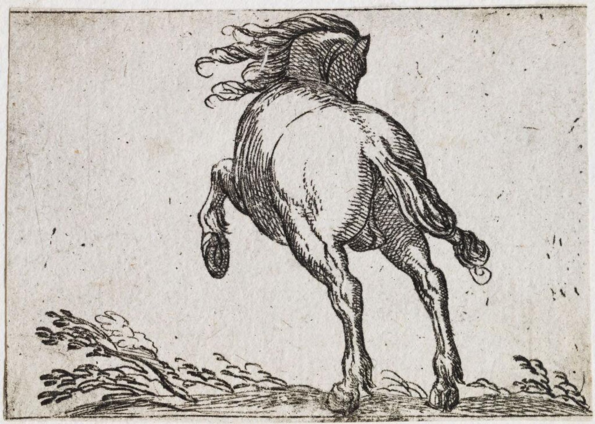 Rearing Horse Viewed from the Rear by Antonio Tempesta