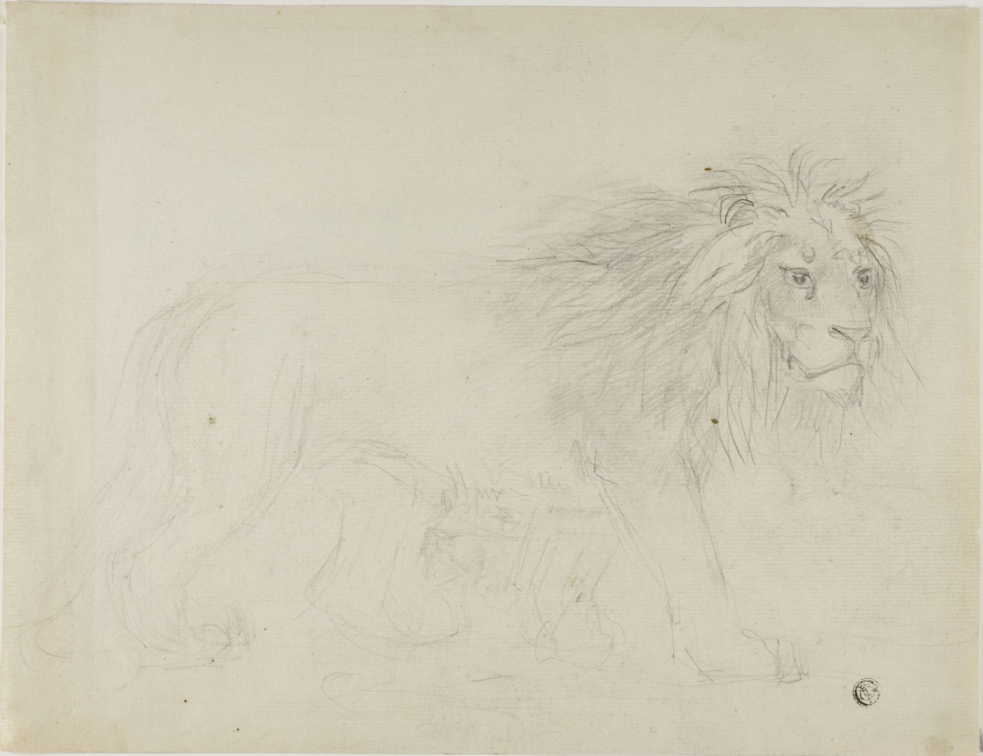 Lion by Sawrey Gilpin