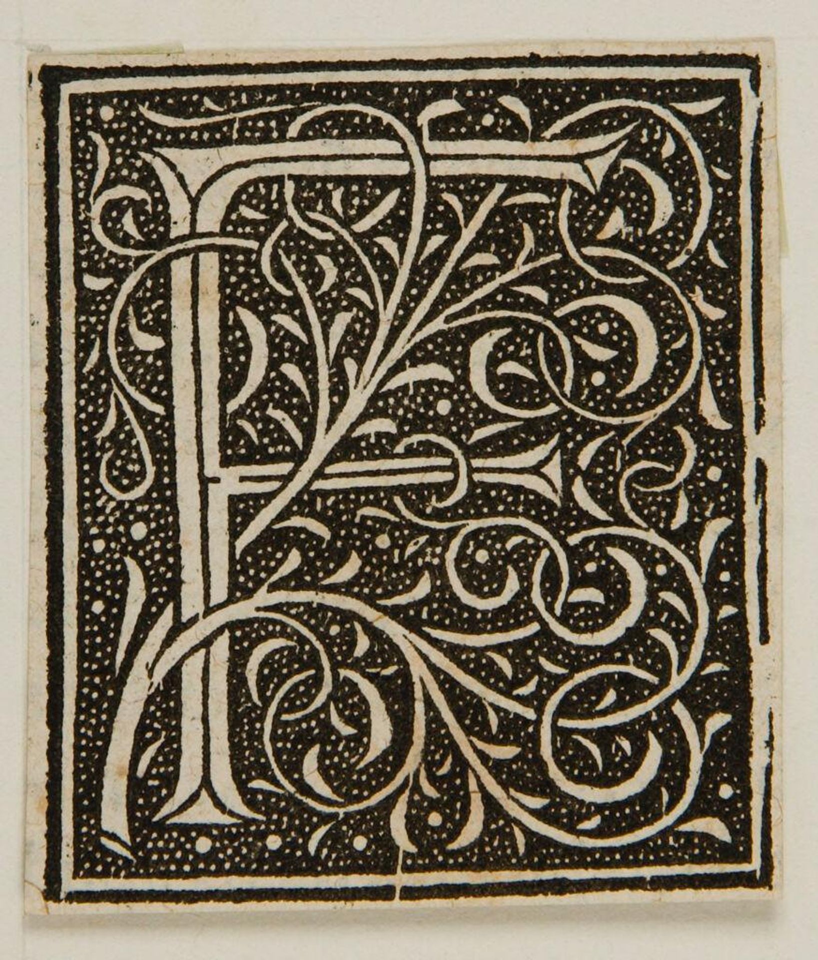 Initial F by Anonymous