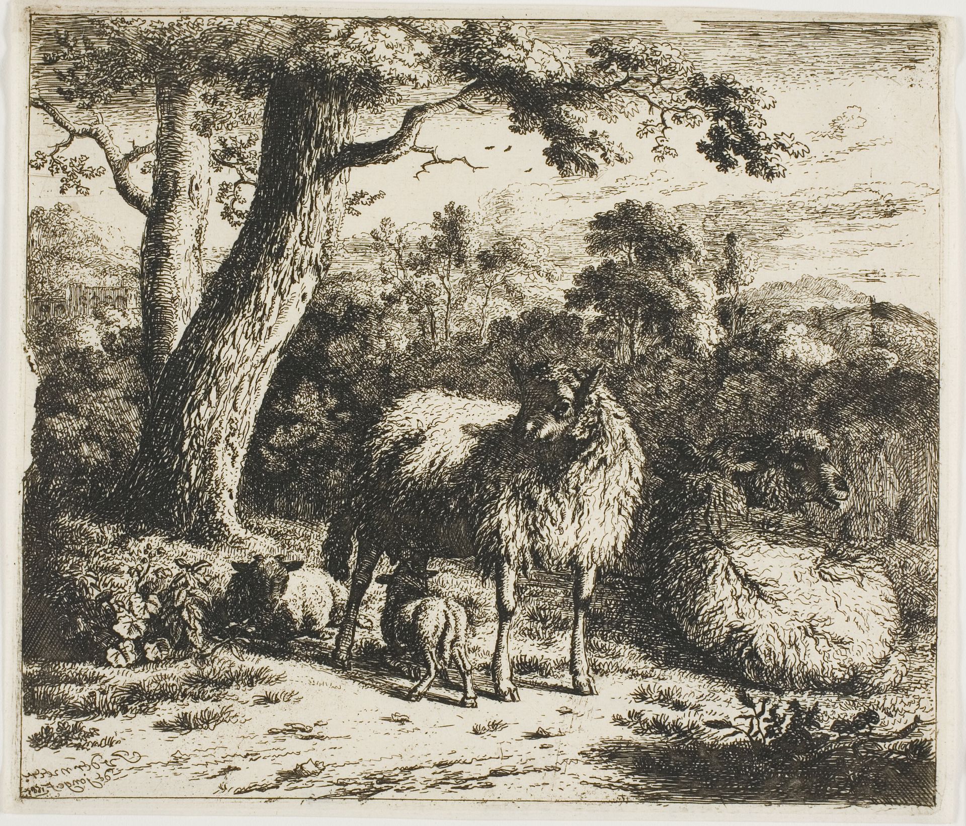 Standing Sheep and Two Lambs by Jan van der Meer the Younger