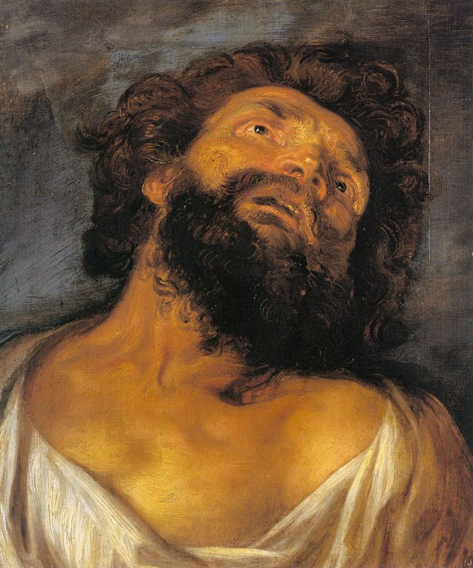 Head of a Robber by Anthony van Dyck