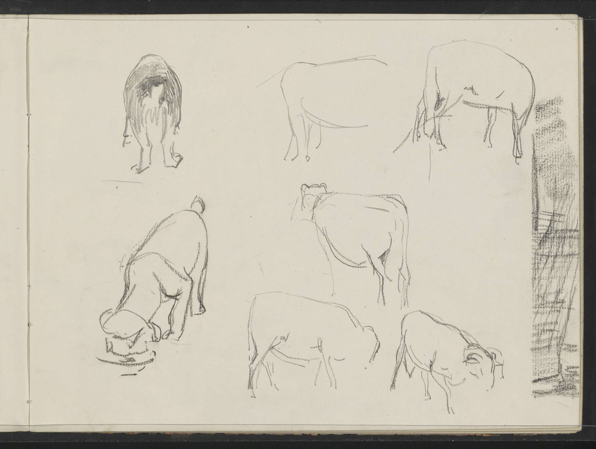 Studieblad met schapen en een hond by Ferdinand Oldewelt