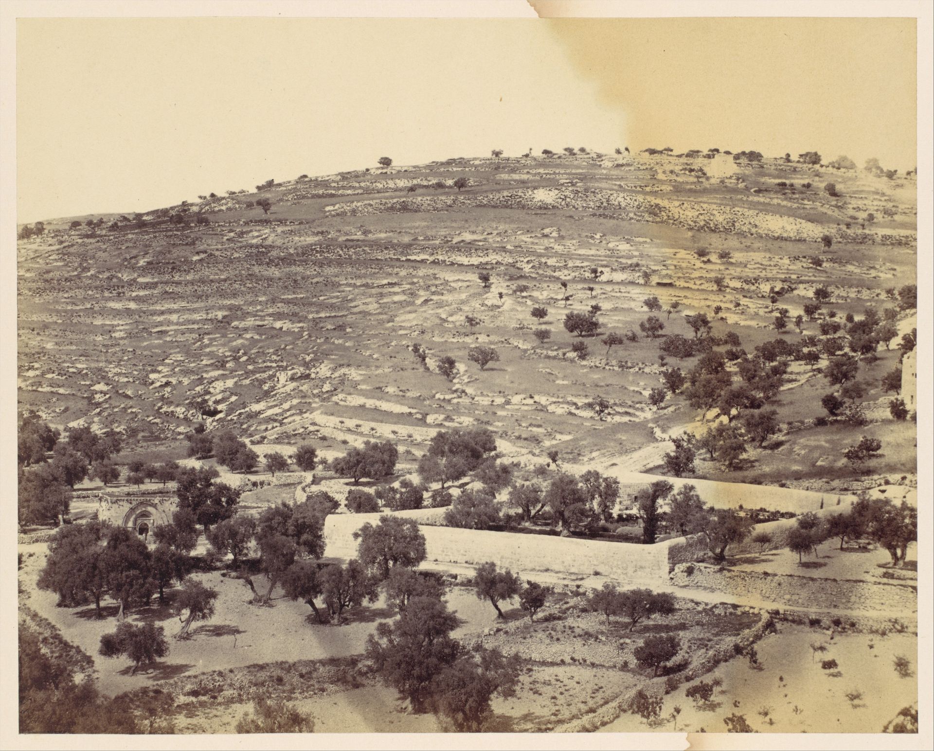 [Garden of Gethsemane and the Tomb of the Virgin, Jerusalem] by John Anthony