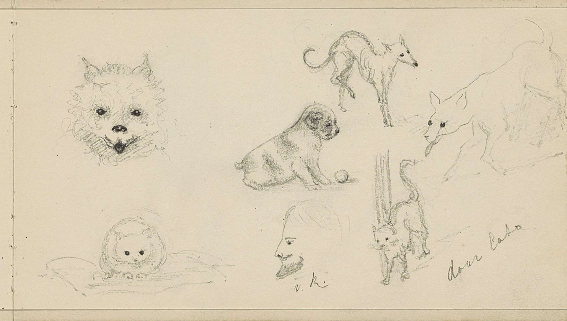 Honden, een kat en een mannenkop by Julie de Graag