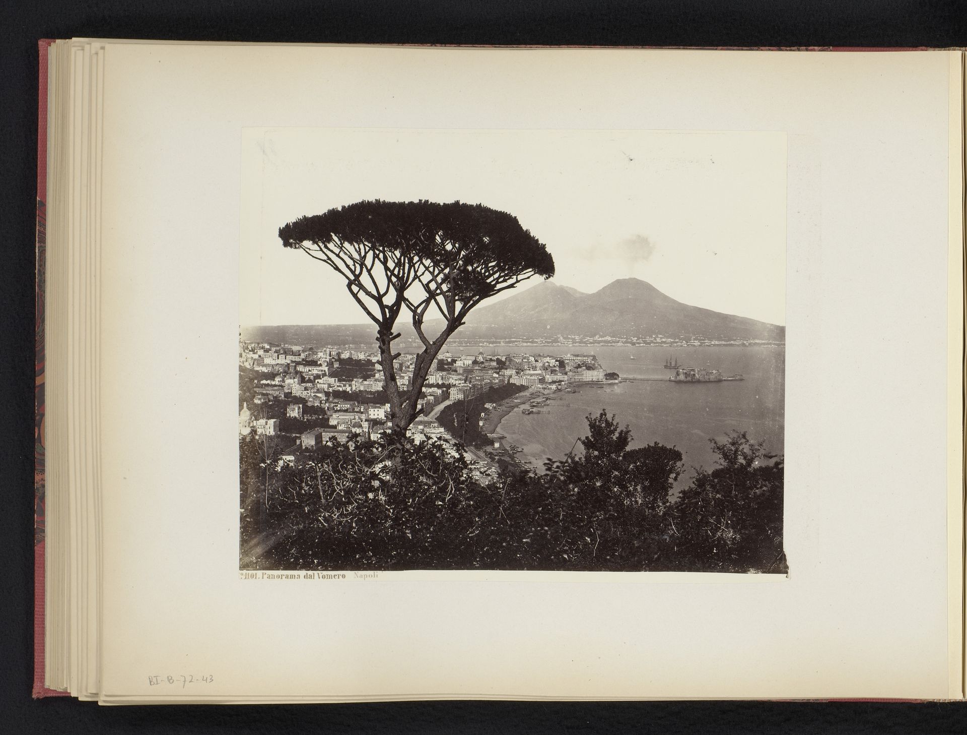 Gezicht op Napels, Italië, met een pijnboom op de voorgrond by Giorgio Sommer