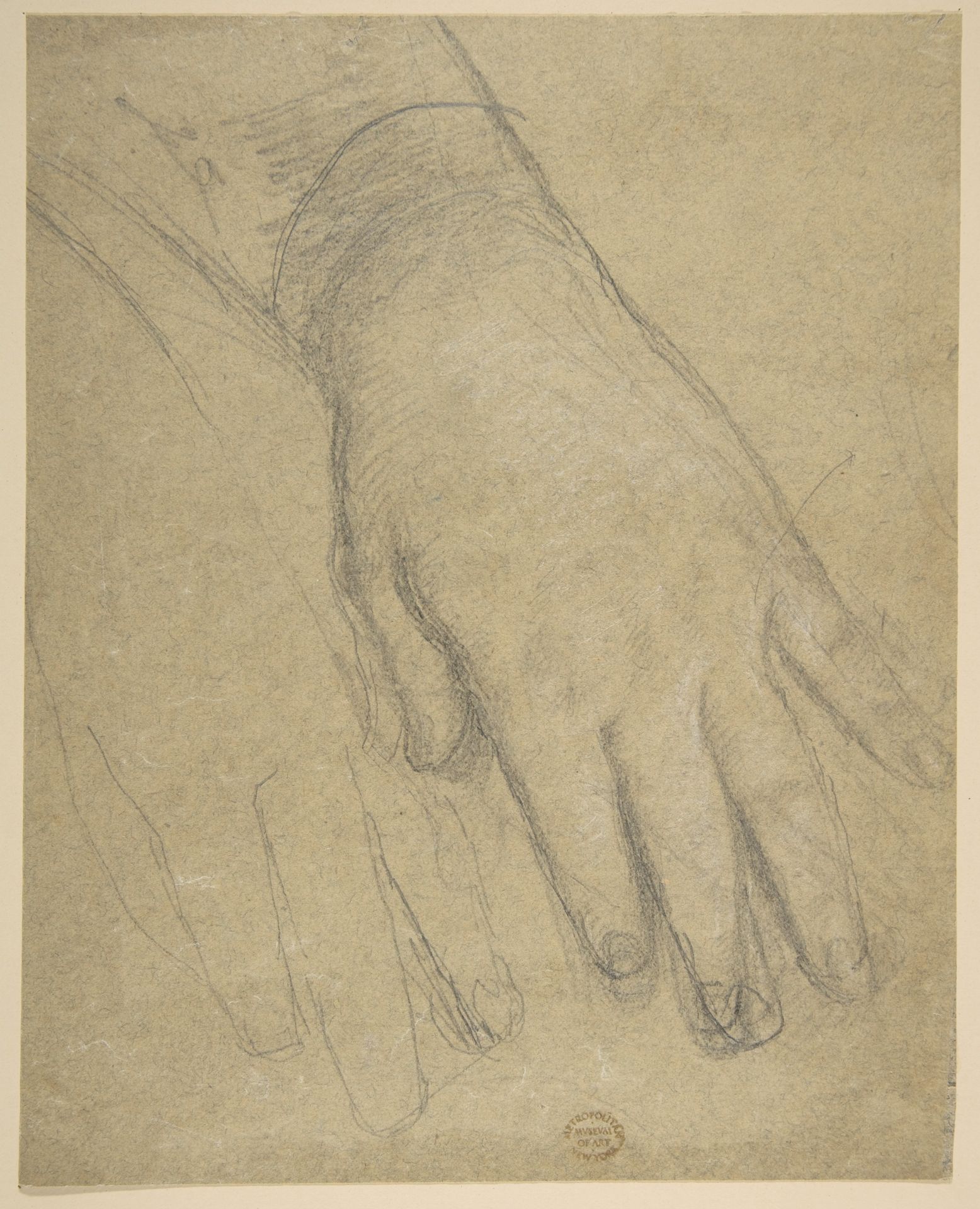 Study of a Hand by Anonymous