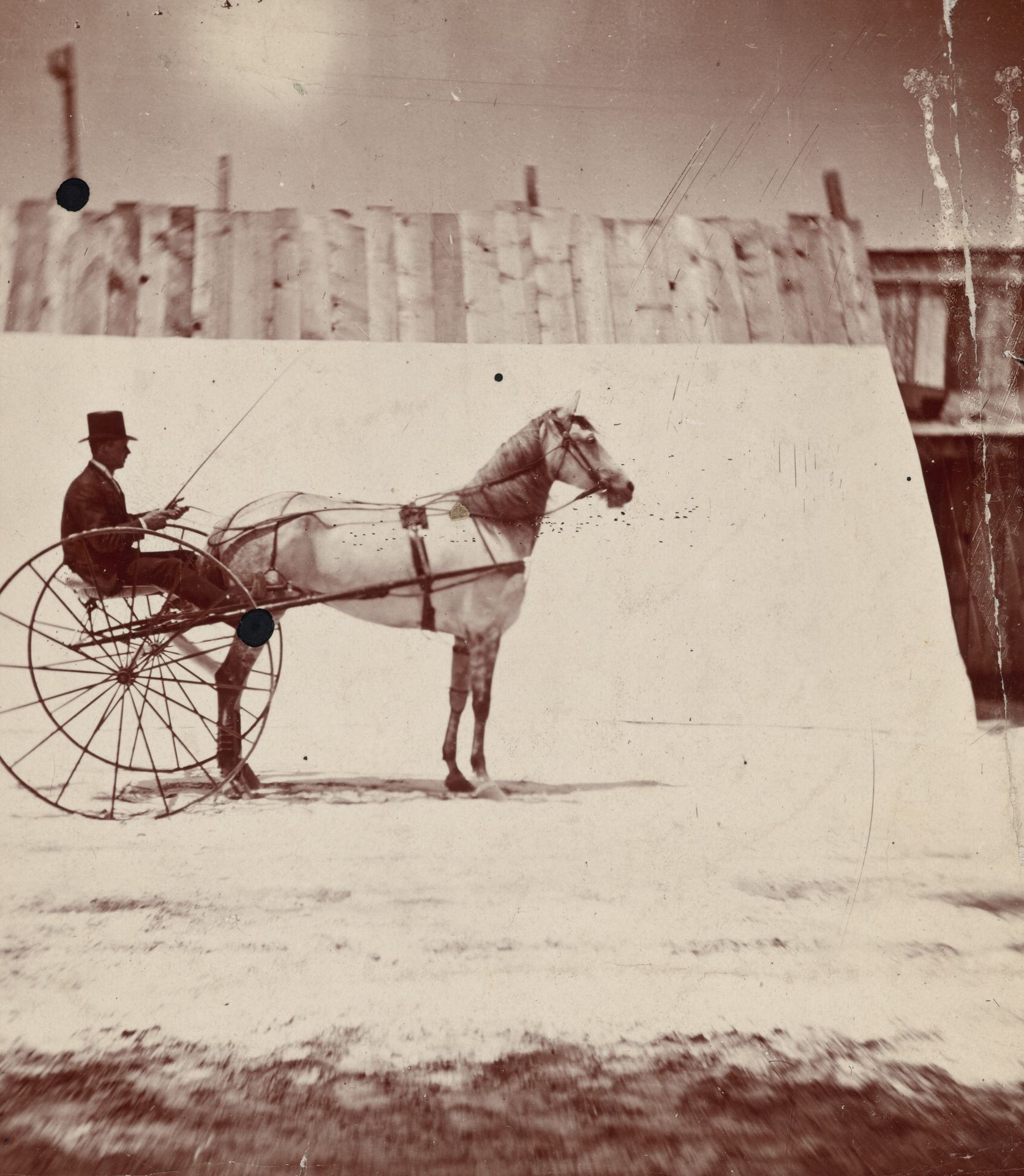 Detail of the Track at Leland Stanford's Horse Farm in Palo Alto by Eadweard Muybridge