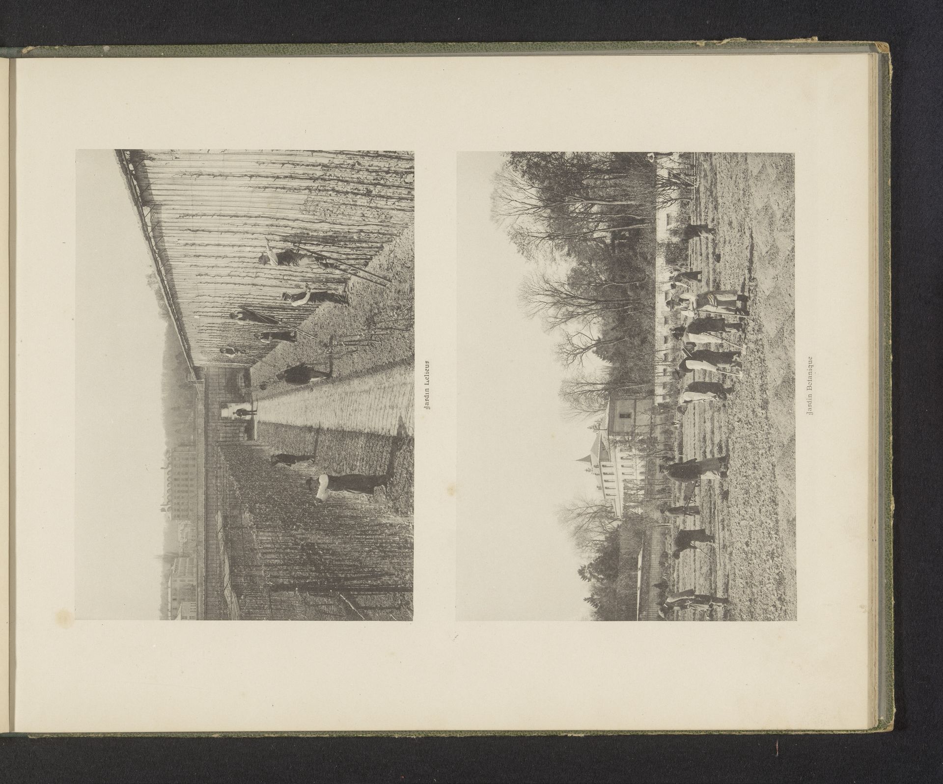 Twee gezichten op tuinen van de École Nationale Superieure d'Horticulture in Versailles, Frankrijk by Anonymous