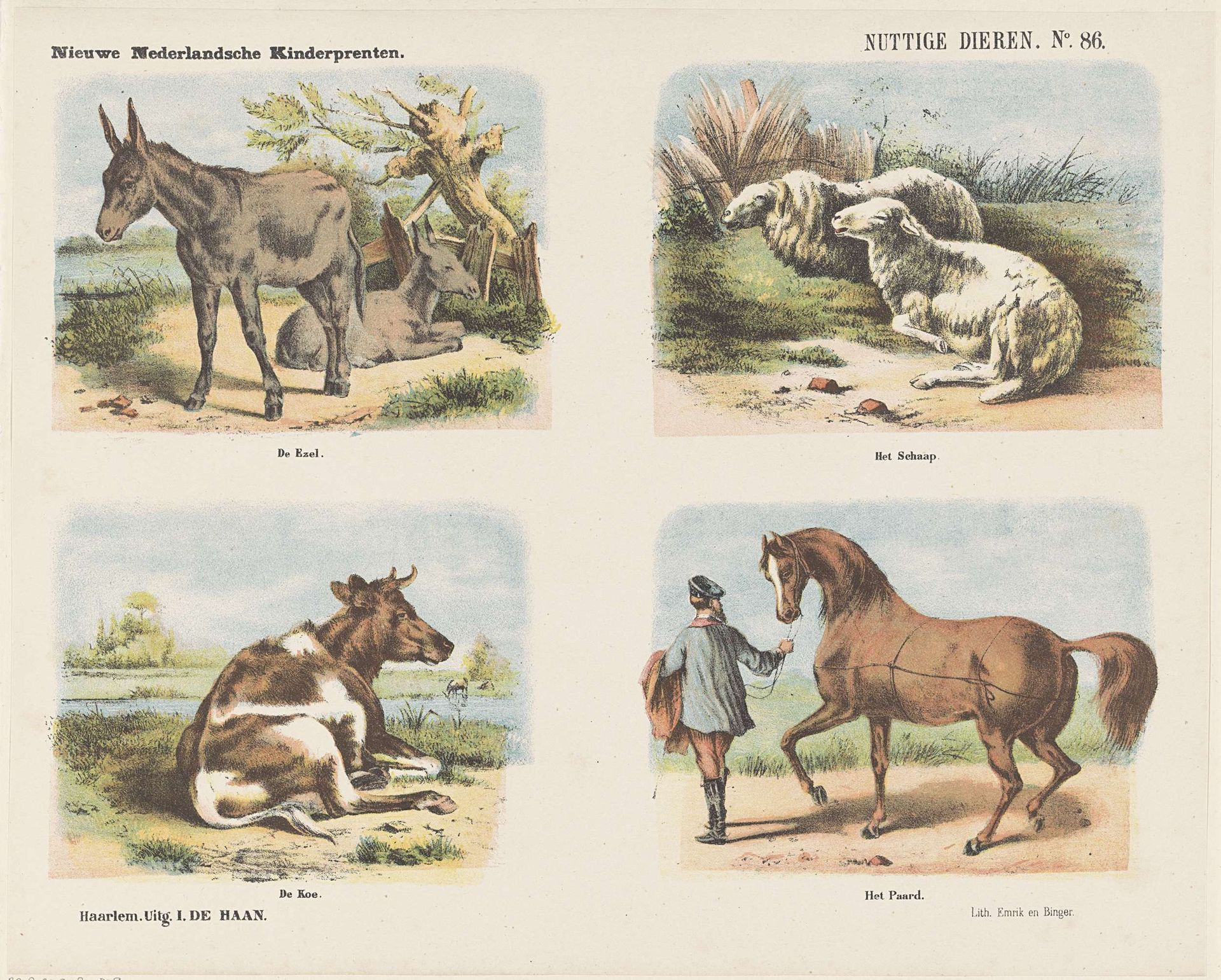 Nuttige dieren by Jan de Haan