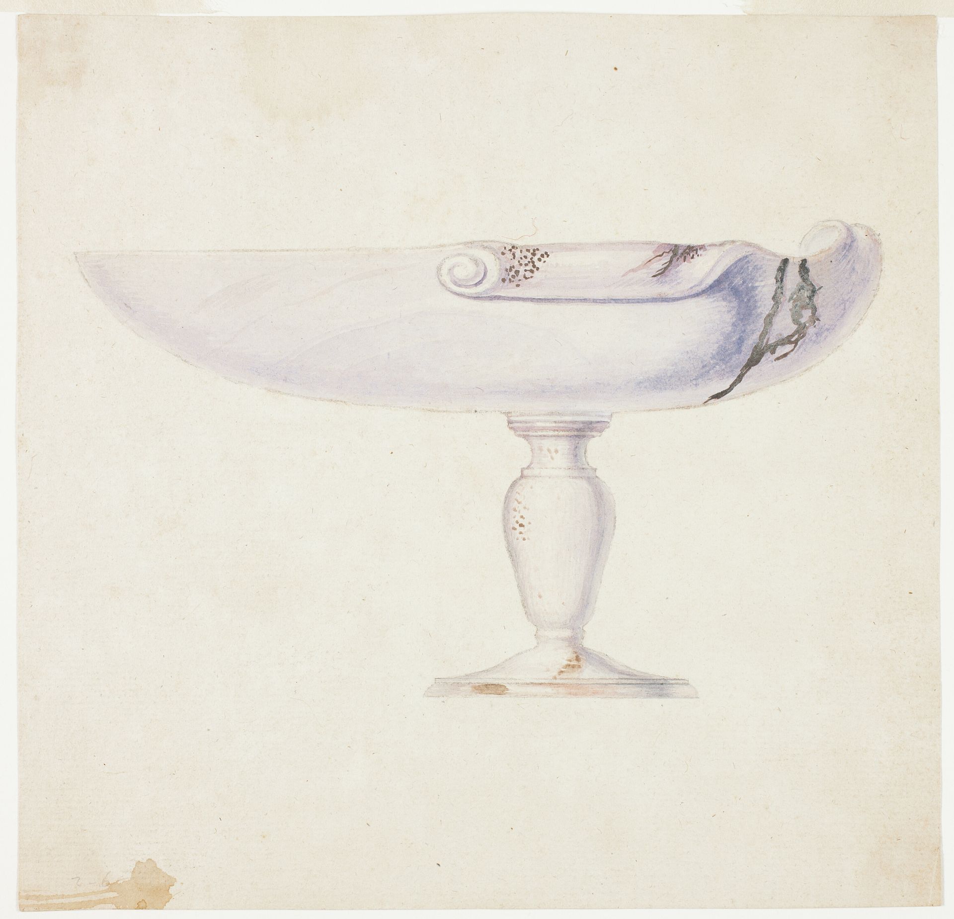 Purple Shell on a Stand by Giuseppe Grisoni