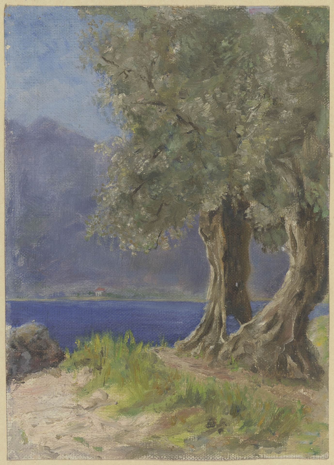 Olivenbaumgruppe an einem italienischen See by Fritz Hauck