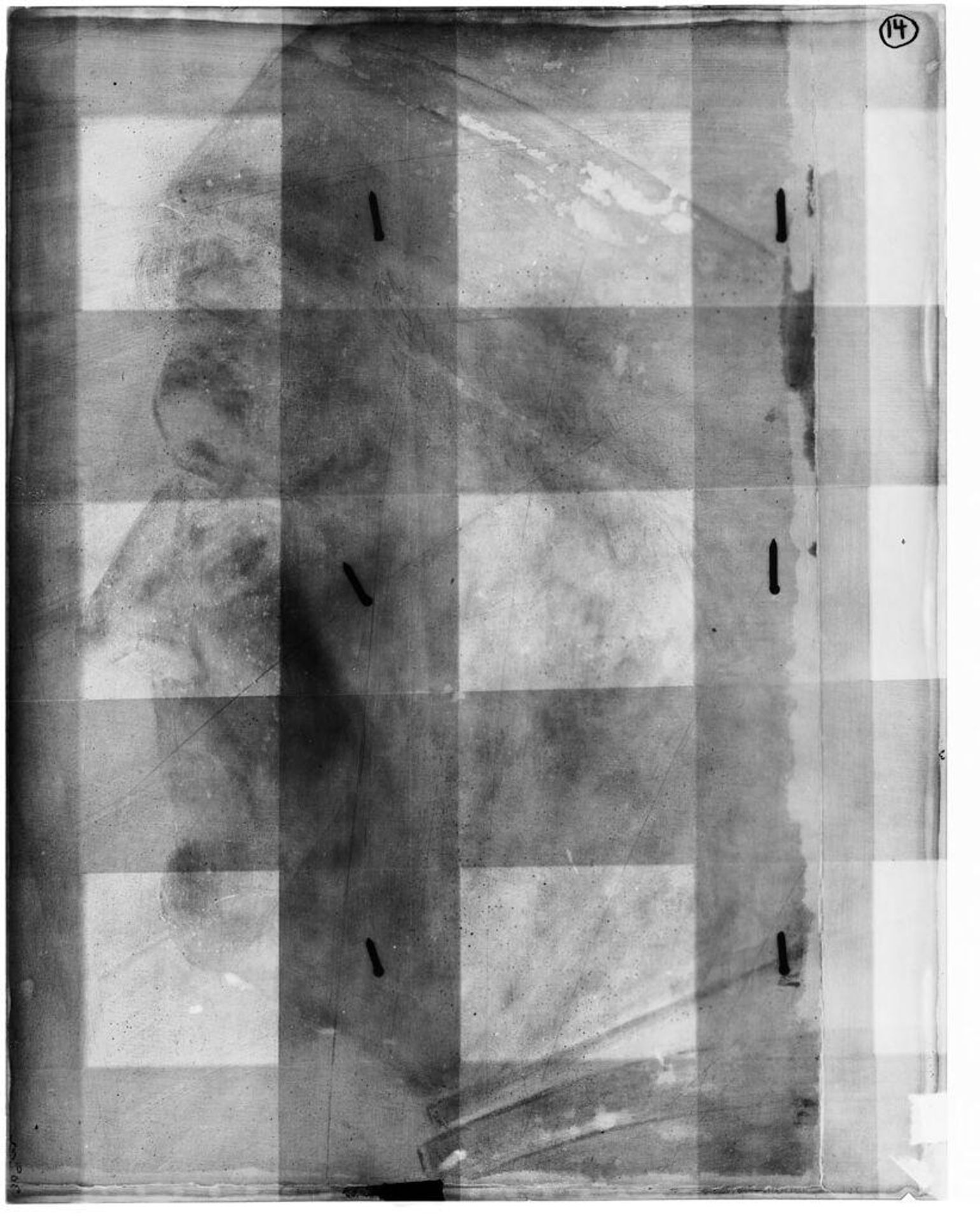 X-radiograph(s) of "Elderly Man" by Artist of original: Giovanni Ambrogio de Predis