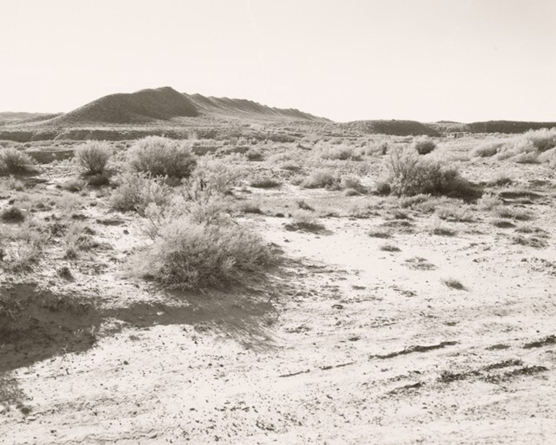 Fort Steele, Wyoming by Robert Adams