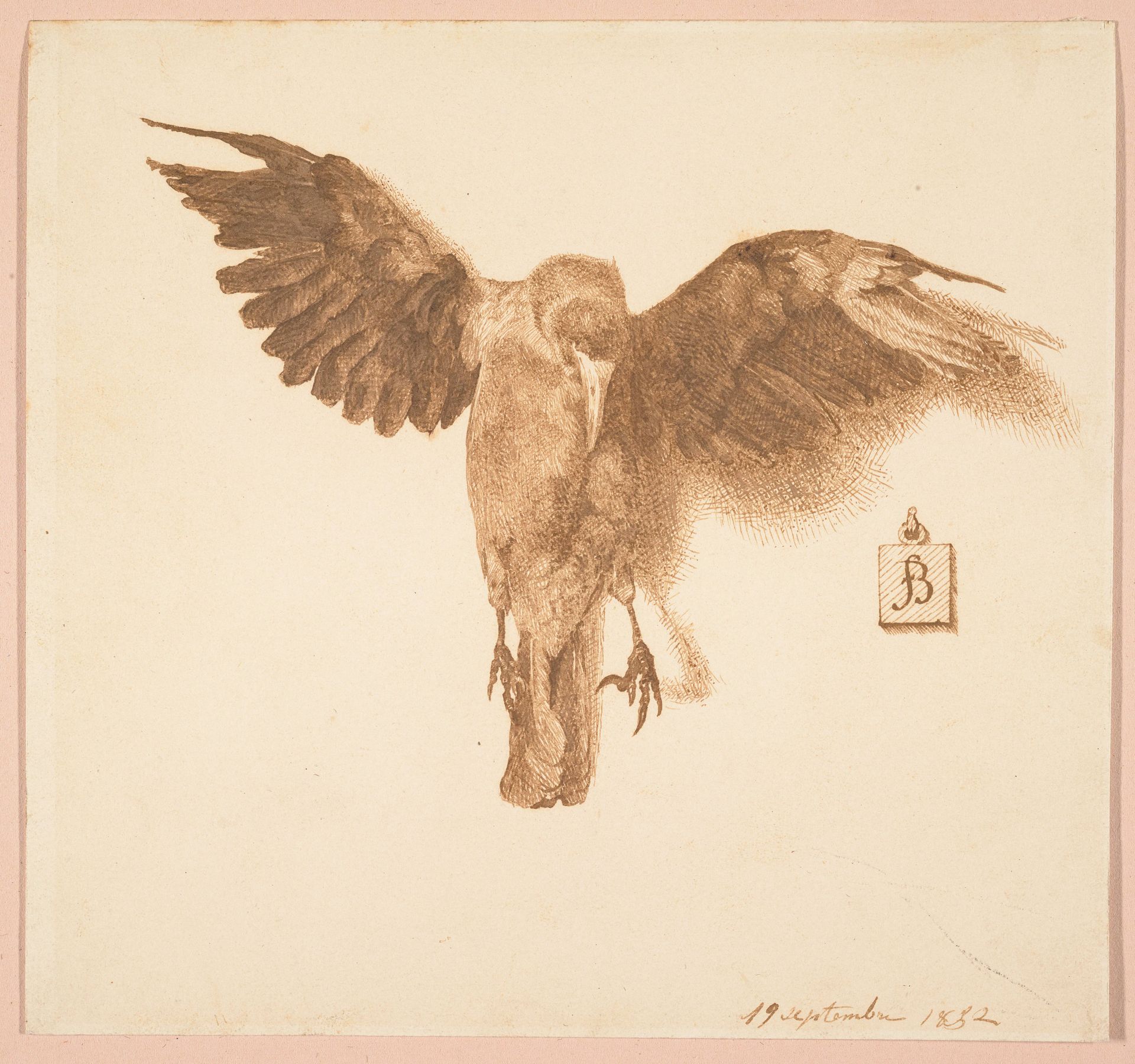 Bird (Crow) by Félix Bracquemond