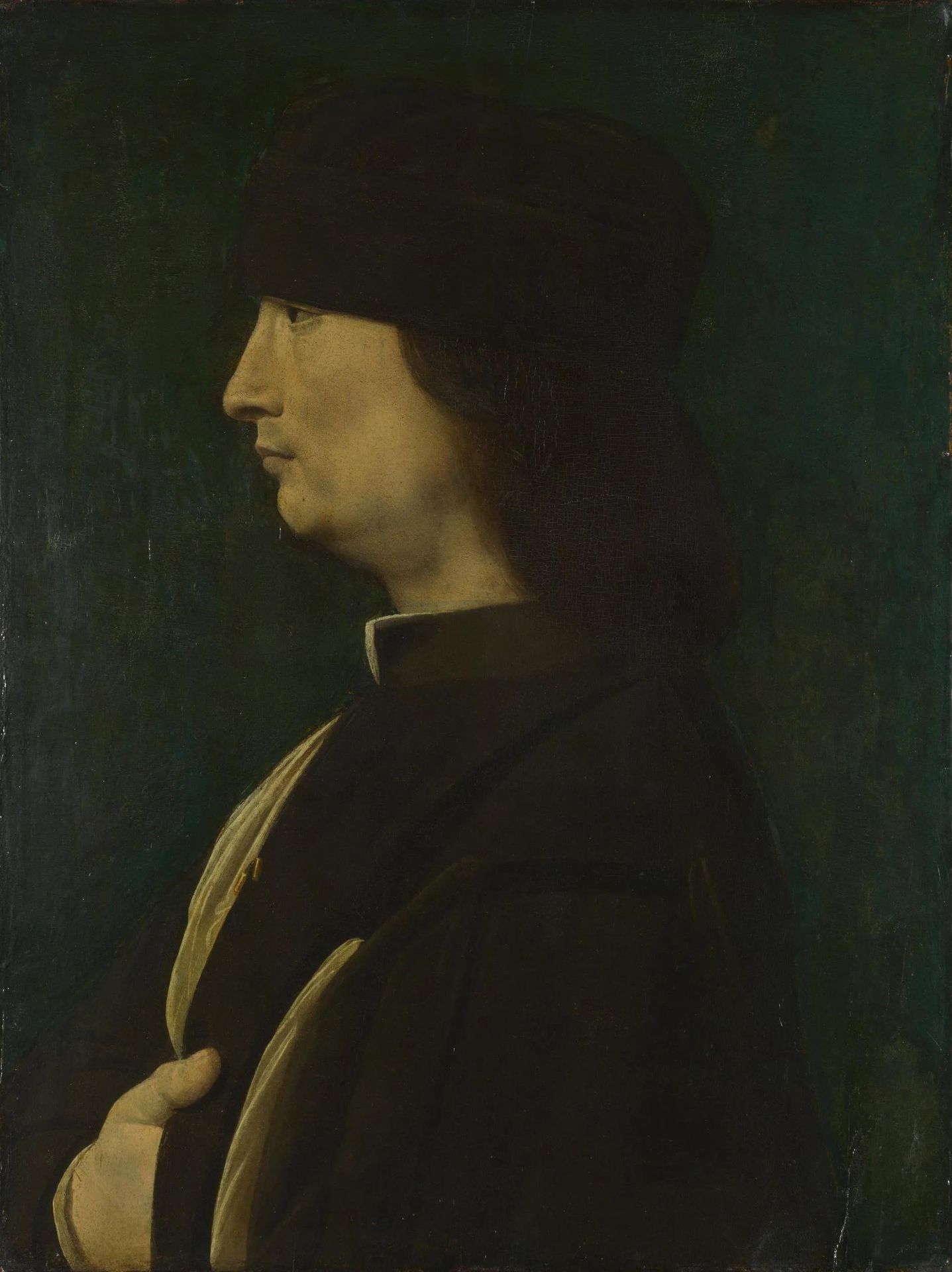 Portrait of a Man in Profile by Giovanni Antonio Boltraffio