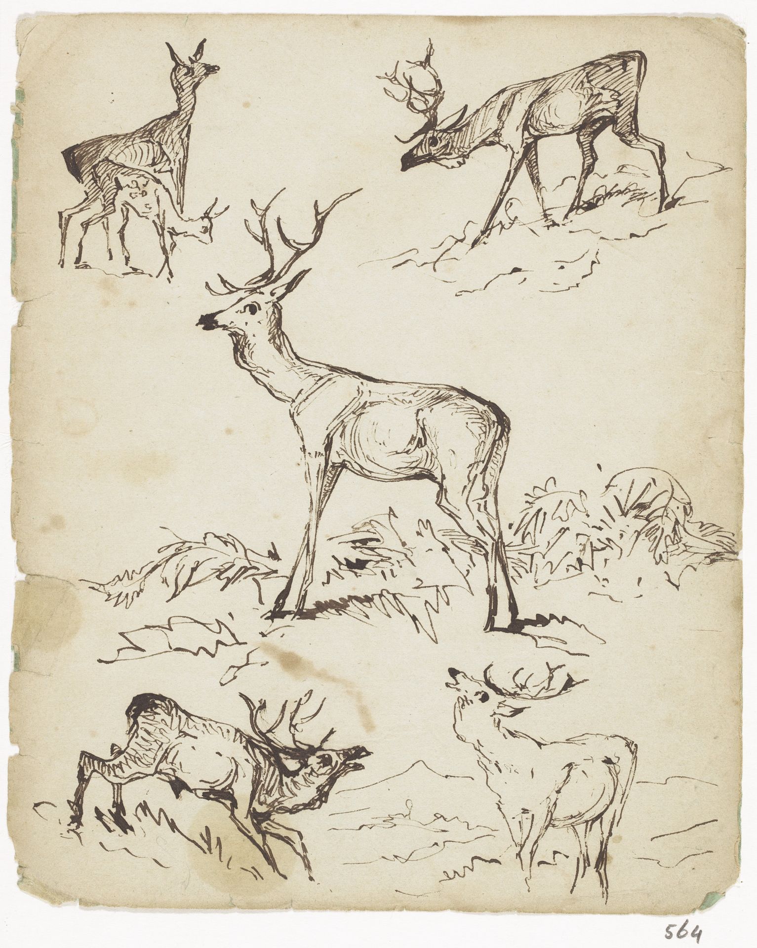Schetsblad met herten by Johannes Tavenraat