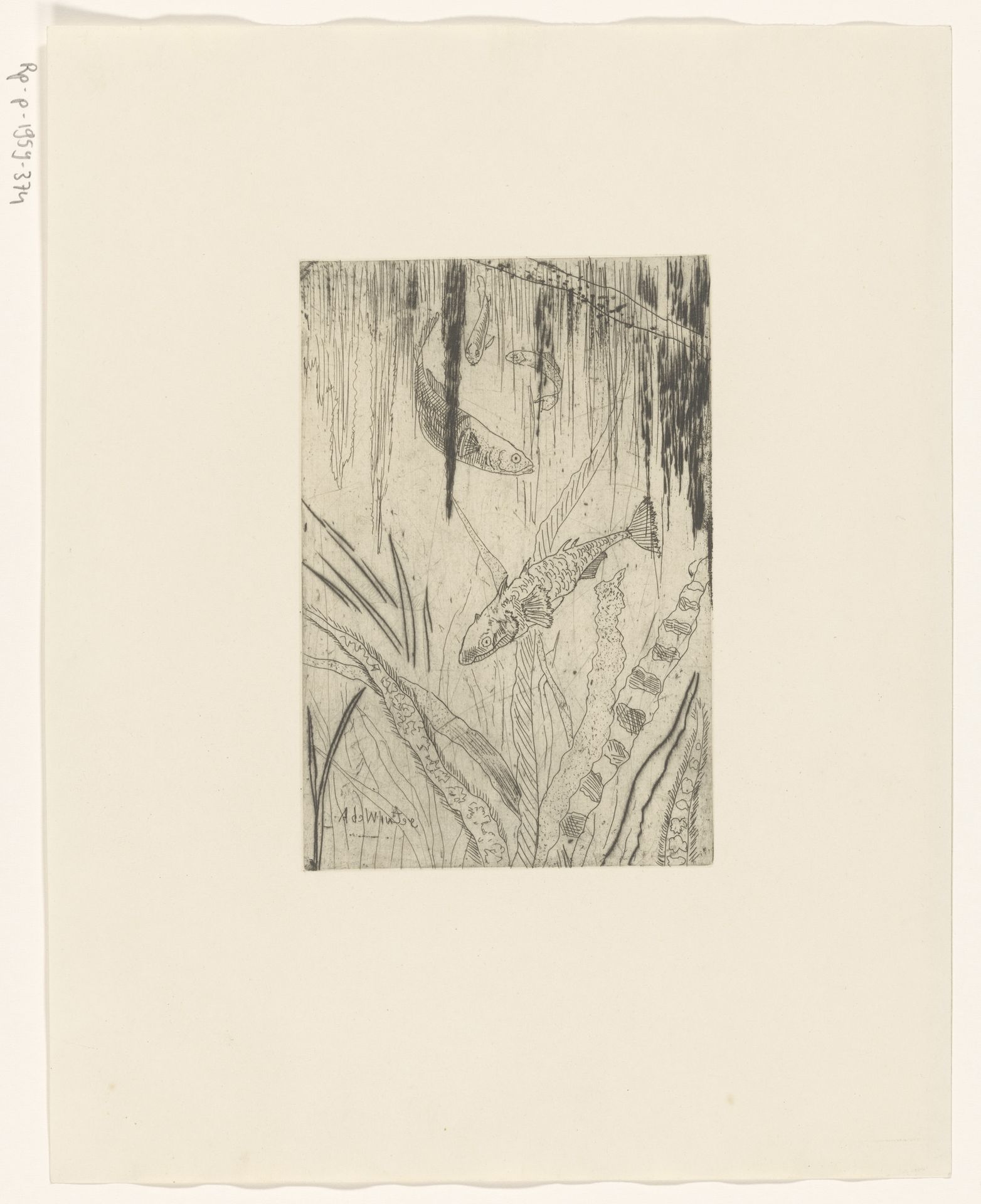 Vissen by Janus de Winter