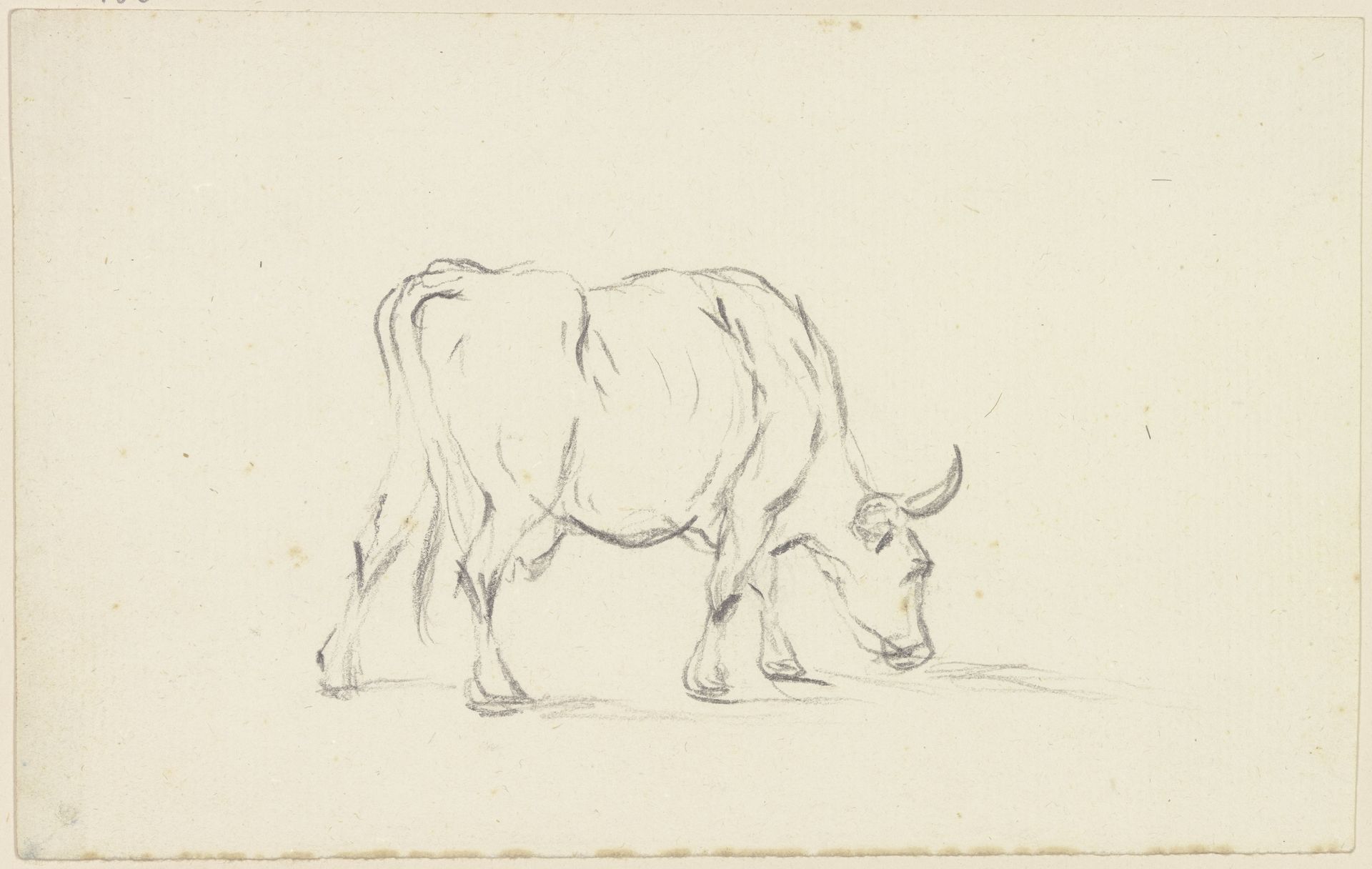 Grazing cow to the right by Friedrich Wilhelm Hirt