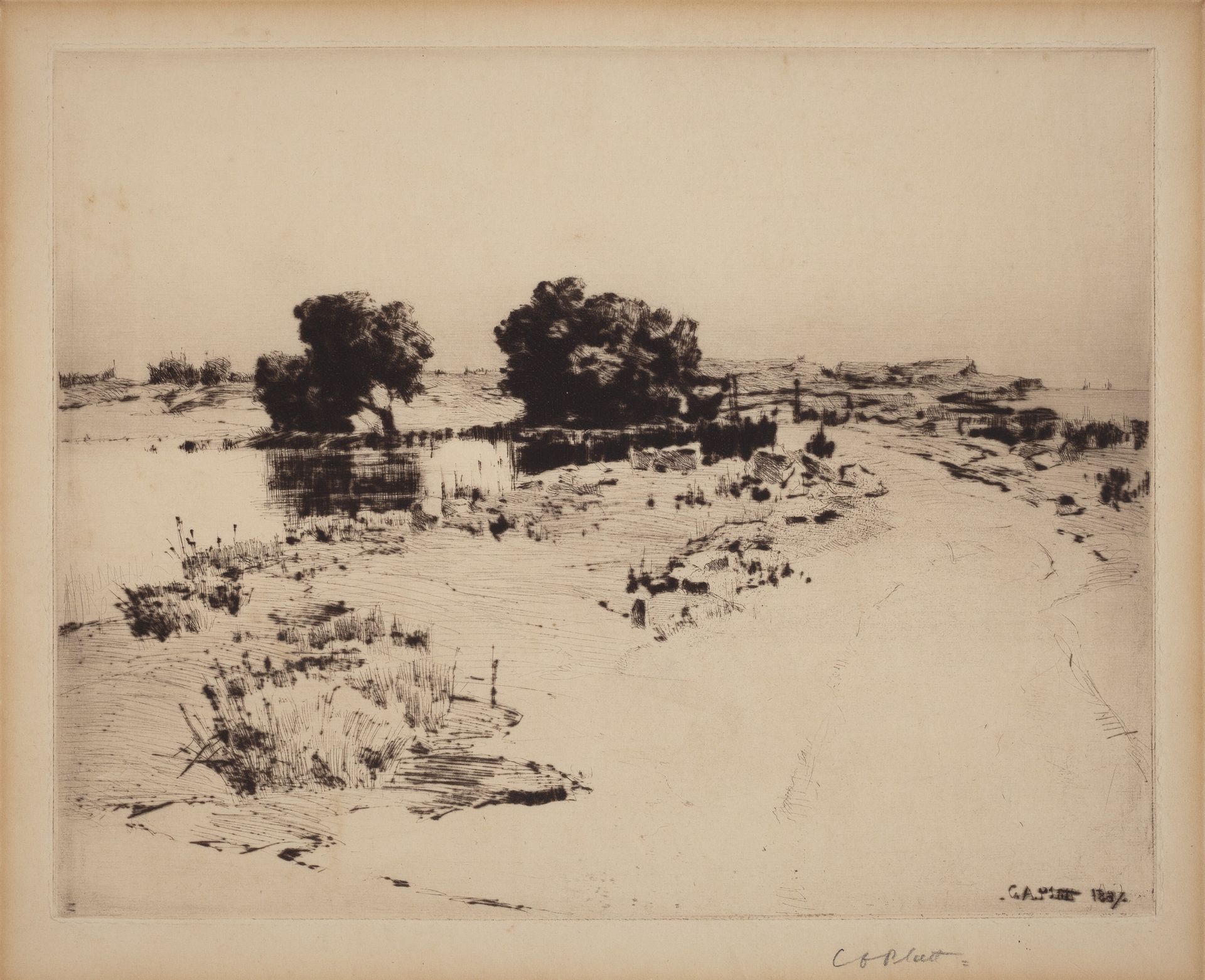 Cape Ann Willows by Charles A. Platt