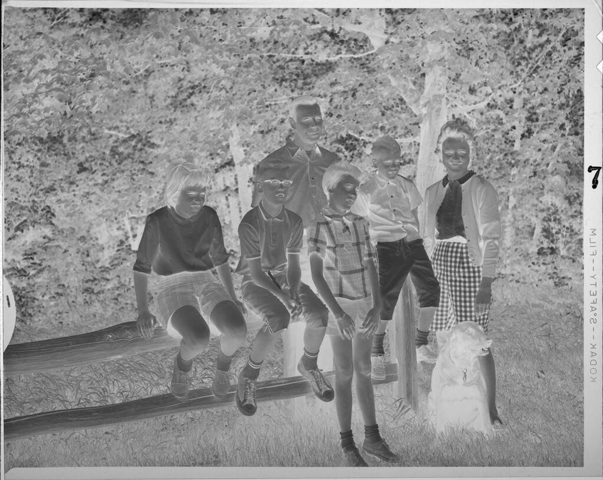 Untitled (family portrait, sitting on fence outside) by Lucian and Mary Brown